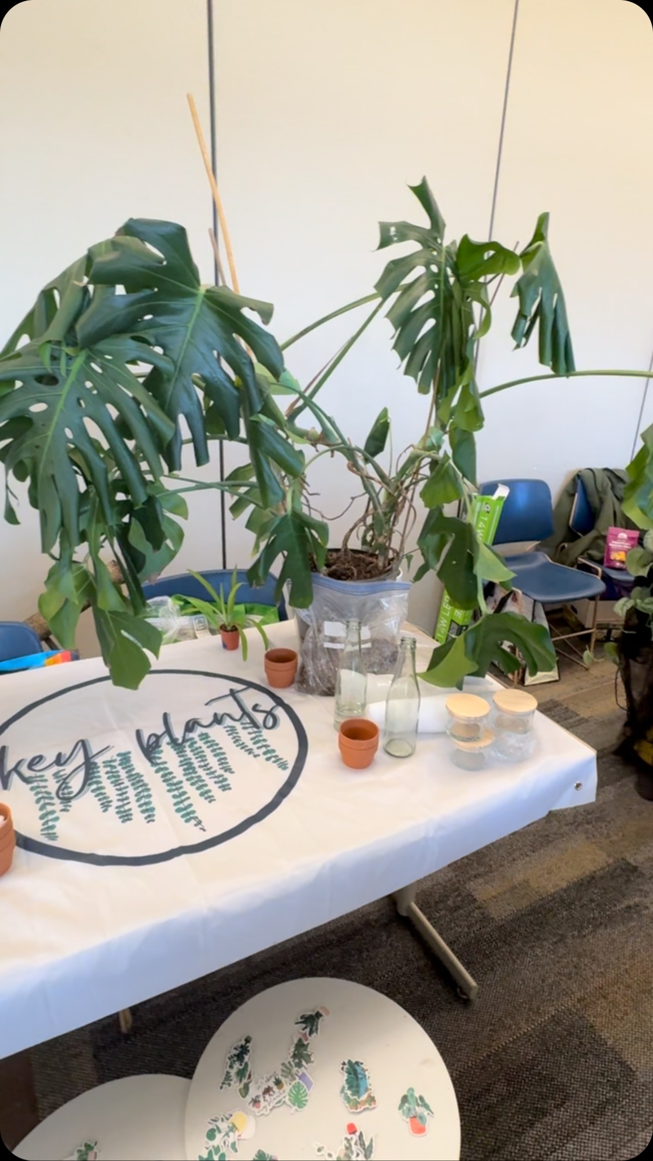 Do you like it or like it 😄