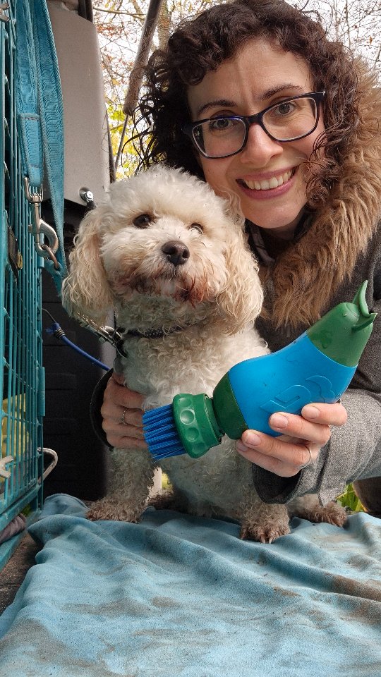 Another day, another Dai-sy cleaning hack π
Daisy loves to get muddy and I've found that my mud daddy just doesn't work on those cockapoo curls! There was always bits of mud and leaf litter left behind but now I have a new trick up my sleeve. It's a Boot Buddy! I don't have a lot of storage space in the van, so this little gadget is perfect for me. It holds about 300ml at a time, just enough for a typical Daisy mud-a-thon and works so simply! Water goes in the top, twist the bottom and squeeze it out through the bristles, voila!
Quick, easy and takes up no space at all - I love it!
#cockapoo #dogwalkerhacks #dogwalking #walkies #smalldogproblems