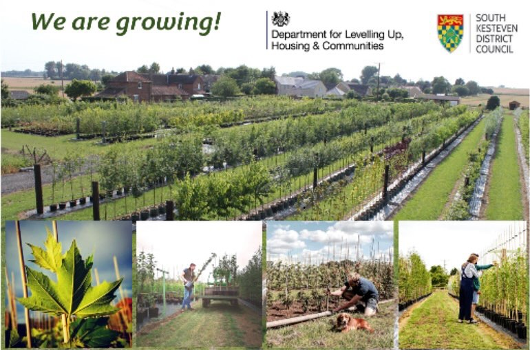 We are excited to share that Treescape Nursery is planning on continuing its expansion of the site. Construction of a new propagation and growing house will enable better self-sufficiency of tree stocks and increased production of our evergreen ornamental range. Working in conjunction with #UKSPF through the UK Shared Prosperity Fund and #southkestevendistrictcouncil, we look forward to continuing growing 🌳 🌲