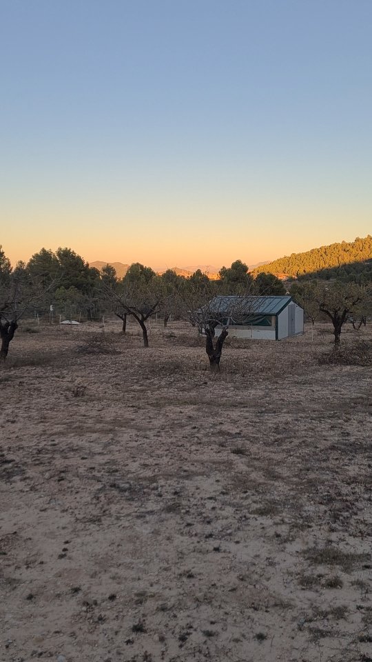 Esta es nuestra finca, en mitad de la montaña, donde criamos gallinas 100% Raza Autóctona. Su bienestar es nuestro mayor compromiso, para obtener unos huevos de la máxima calidad y un sabor único. El sabor de toda la vida.
#huevosecologicos #razaautoctona #vidarural #gallinacastellananegra #gallinamurciana