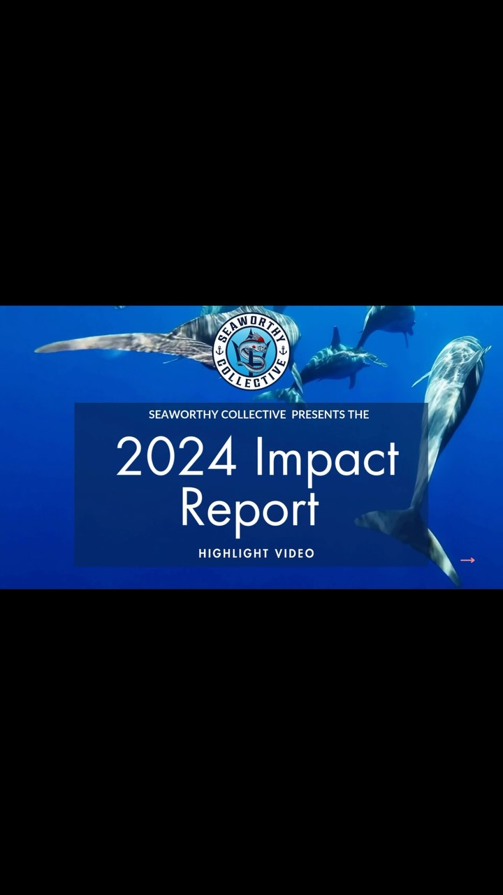We are excited to announce that we have published our 2024 Impact Report! Read the full report on our website. Here is the official highlights video.
It has been an incredible year, and we are thankful to our fantastic team!
#seaworthycollective #bluetech #oceaninnovation #startups #seachangemakers #entreprenuers