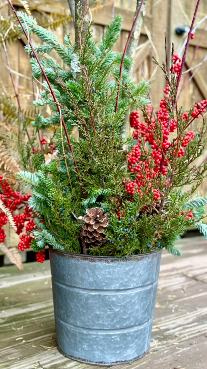 We’ve got a new design for this Christmas season…the porch pot! Frame your door with one of these or an even a pair and enjoy the winter decor for Christmas and beyond. #walkingwindfarmandflorist #clarkevafarmmkt #oldtownalexandriafarmersmarket #berryvilleva #clarkecountyva #oldtownalexandria