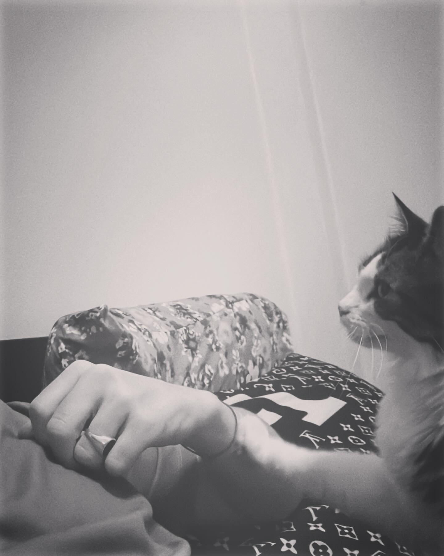 🐈👊🏻
#cat #oats #fistbump #adv #thailand #travel #blackandwhitephotography #fsgs #kidneytransplantrecipient