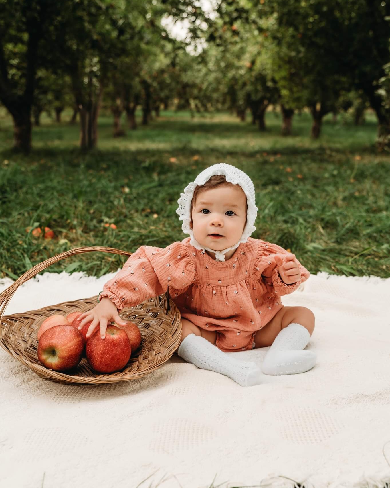 🍎Sessions in the apple orchards are some of my favorites!
#familyphotography #boisefamilyphotographer #boisefamilyphotography #appleorchard #memories #makingmemories