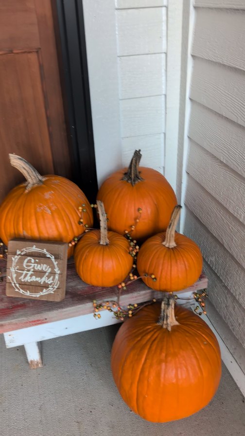 This season is a gentle reminder to slow down and cherish what truly matters—quality time with loved ones, small joys, and the beauty of connection. Take a moment to reflect on what fills your heart with gratitude and let that warmth carry you through. 🧡✨
Here’s a little peek at how Sweet Sanctuary can help you create a welcoming, loving atmosphere for your next gathering. Because a calm, organized space makes those special moments even sweeter. 🍂 #GratefulHeart #seasonofreflection