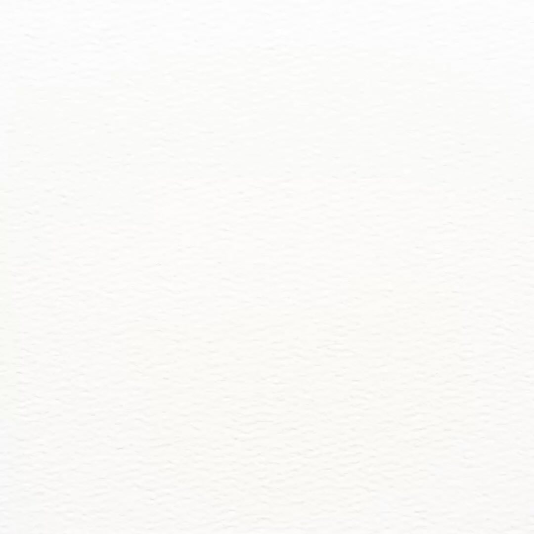 Happy Thanksgiving to our family and friends! We are so grateful for all we have and our amazing members! #gfwcplantcityjuniors #gfwcplantcityjuniorwomansclub #gfwc #plantcity #thanksgiving