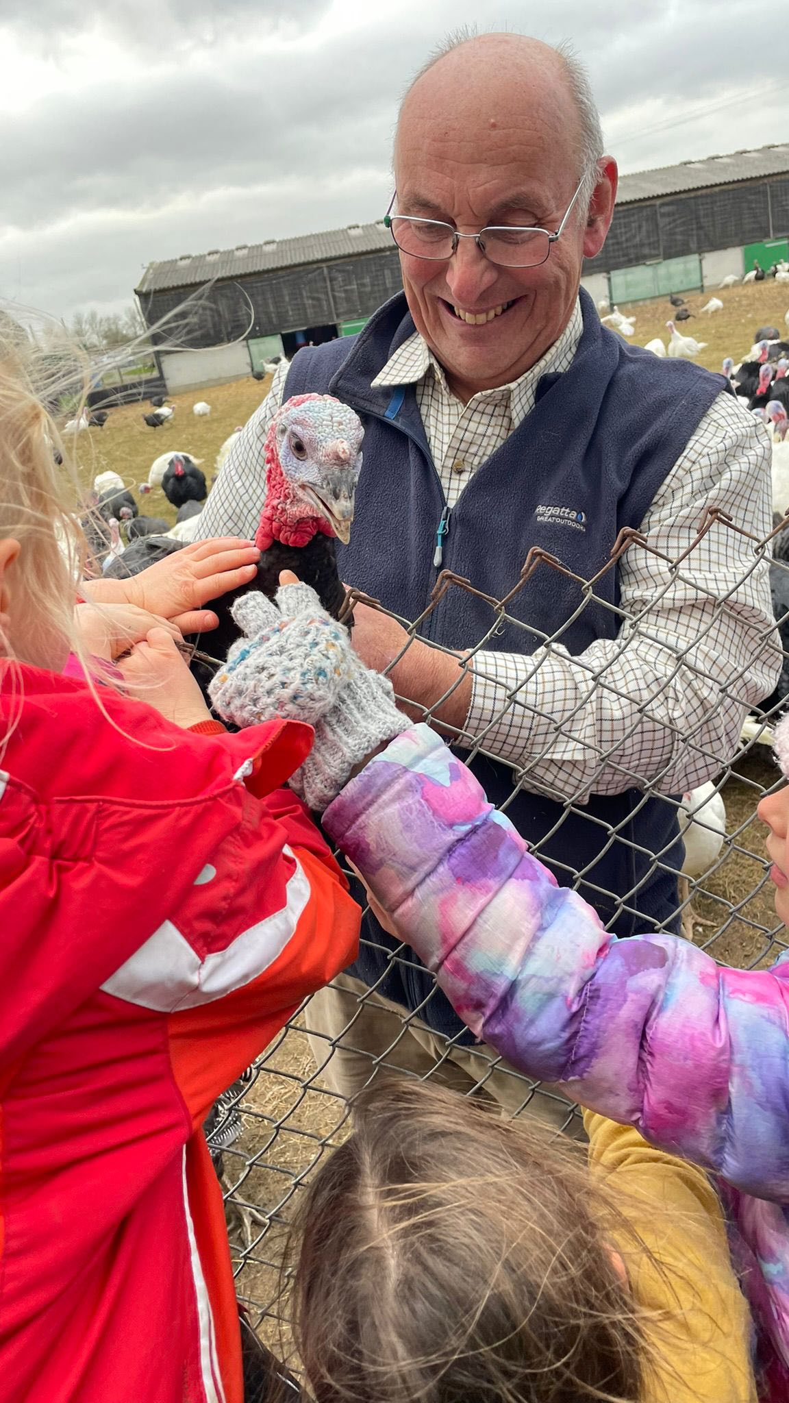 Thank you to everyone that came to our turkey open day! We had a great time meeting you all and so did the turkeys! It’s always great to get to share the farm with everyone and really show you how and why we do what we do! 🦃 🎄 🎁
If you didn’t manage to come but you want to know what all the fuss is about our order book is still open… just call us on 01986 798340
#buymyturkey #openfarm #suffolk #suffolkfood #suffolkfarming #suffolkturkeys #buylocalthischristmas