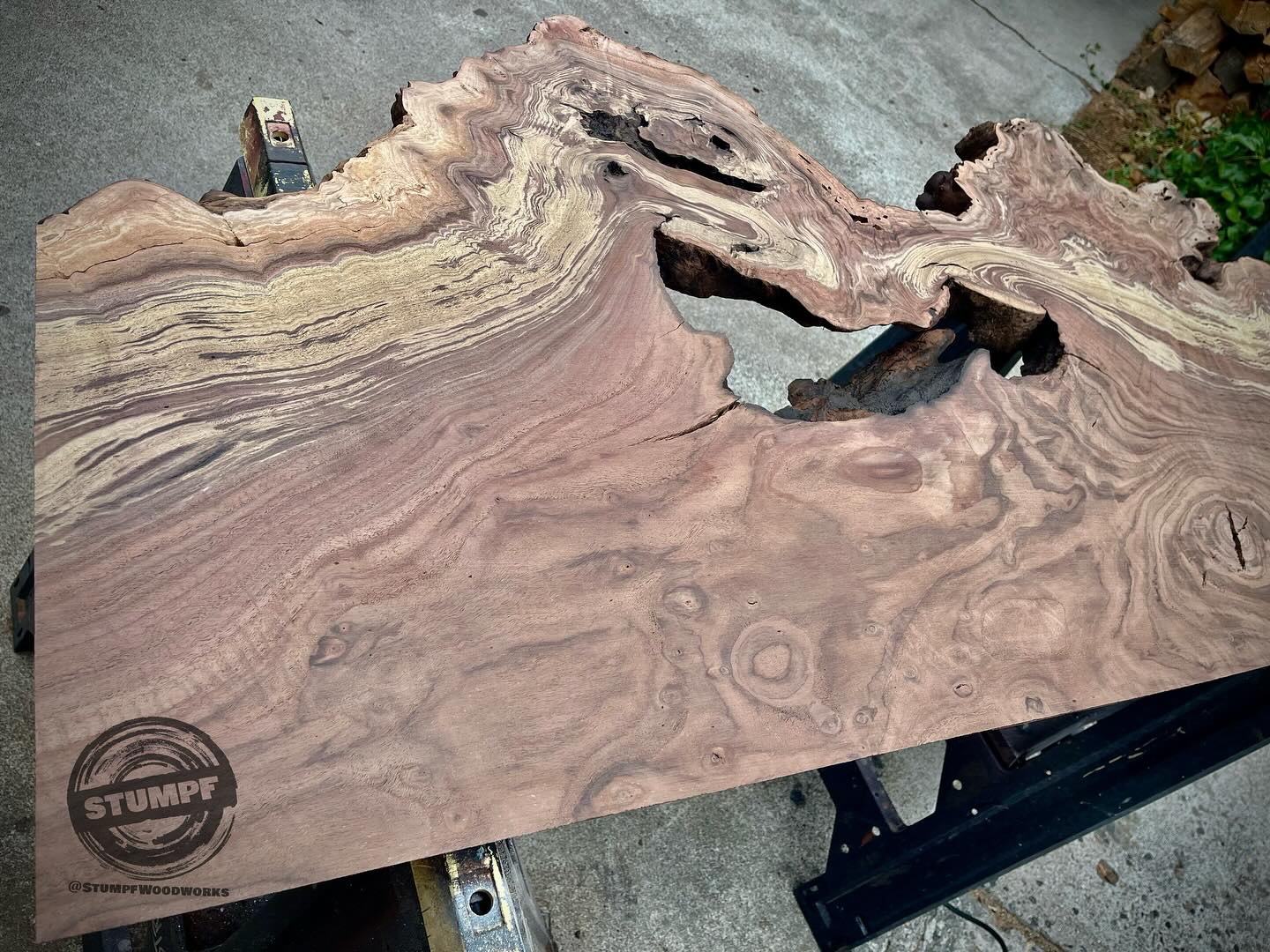 Can you believe the color of this beast? Had to share the beginning of a Bastogne Walnut headboard. Bee’s knees 🐝
#StumpfWoodworks #MakeGaragesDirtyAgain