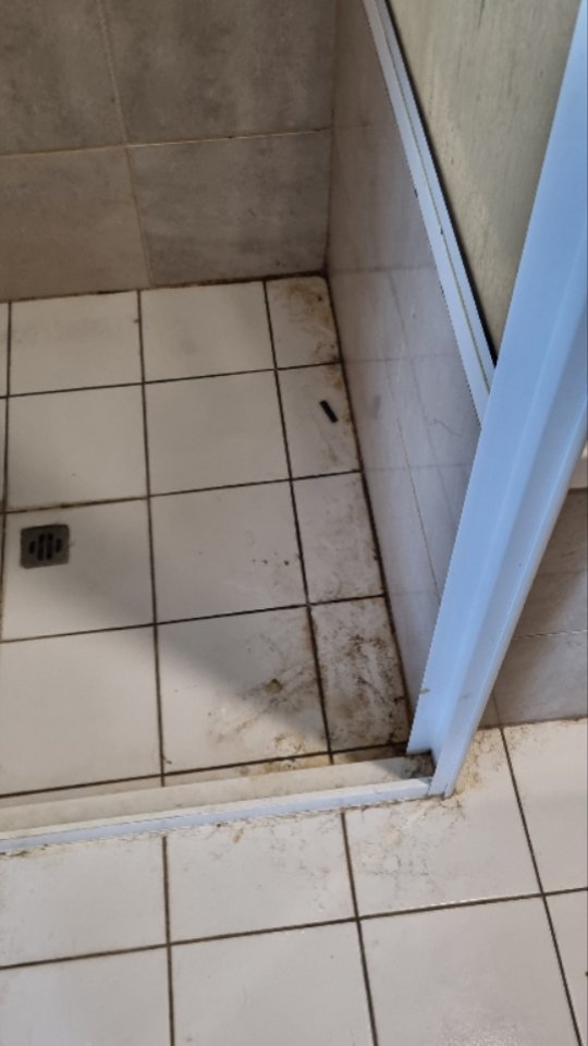 Today's very enjoyable bathroom clean🌟
#greencleaning #perthcleaning #perthcleaningservices #cleaningforall #housecleaning #cleaningperth #ecofriendly #cardamomclean #maketime #bathroom #batgroomclean #shower #showerglass #showerclean #tilecleaning #smallbusiness #supportsmallbusiness #instaclean #instadaily