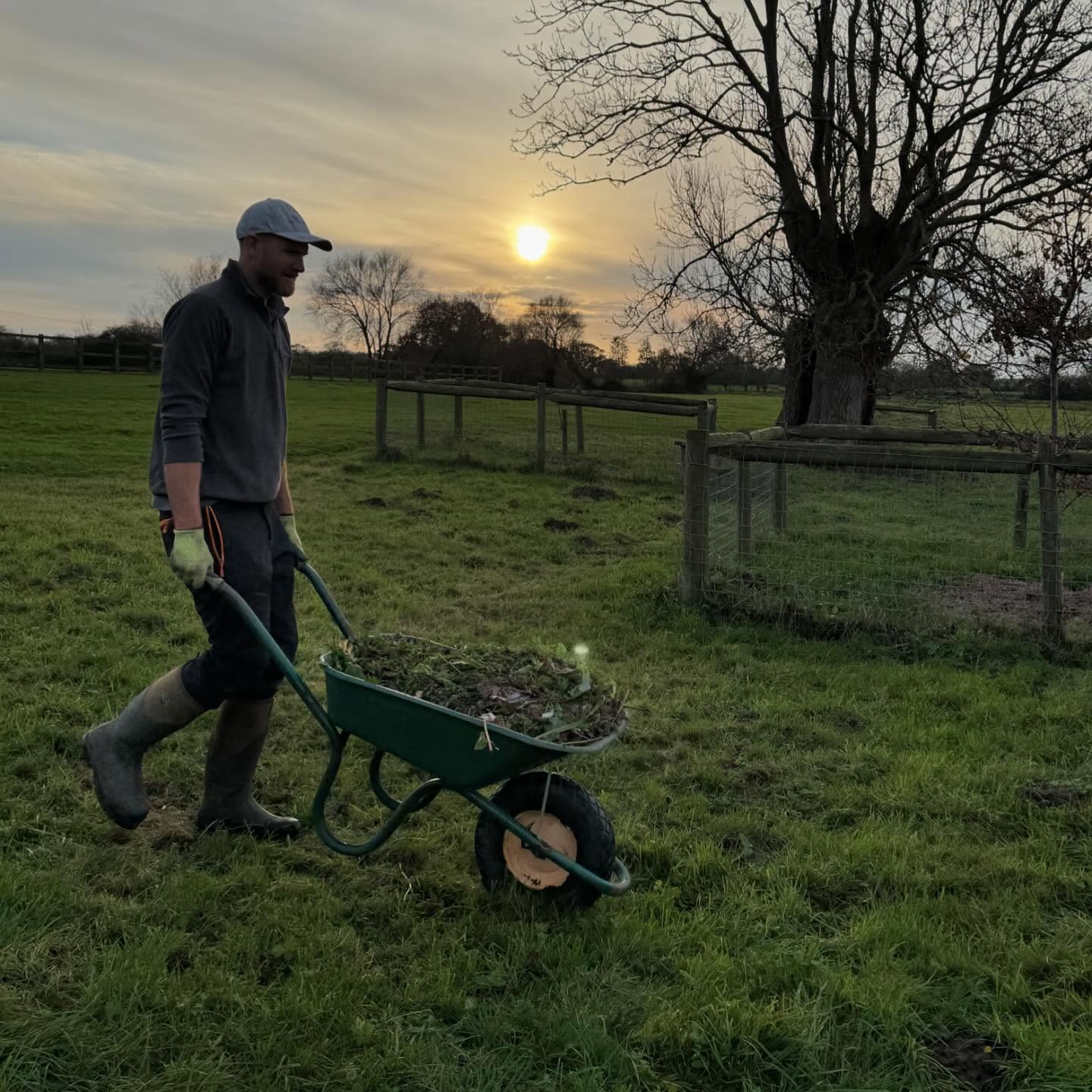 Just walking along to the compost heap and then I get mobbed by these boys!! ❤️❤️
#donkey
#donkeylove
#gardendesign
#gardenmaintenace
#landscapedesign
#countrylife
#gardenlife
#composting
#countrygarden