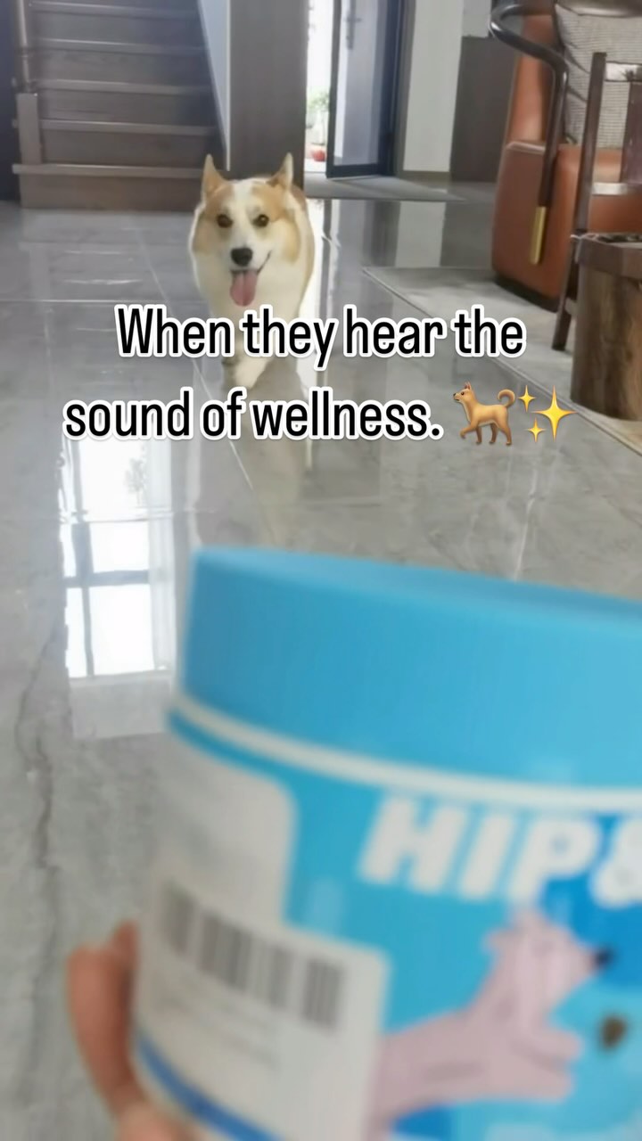 When they hear the sound of wellness. 🐕✨ Your pup knows what’s best!
#doglover #puppylove #corgi #corgipuppy #dogsofinstagram #dogsupplies #dogsupplements #doglife #puppy #puppygram