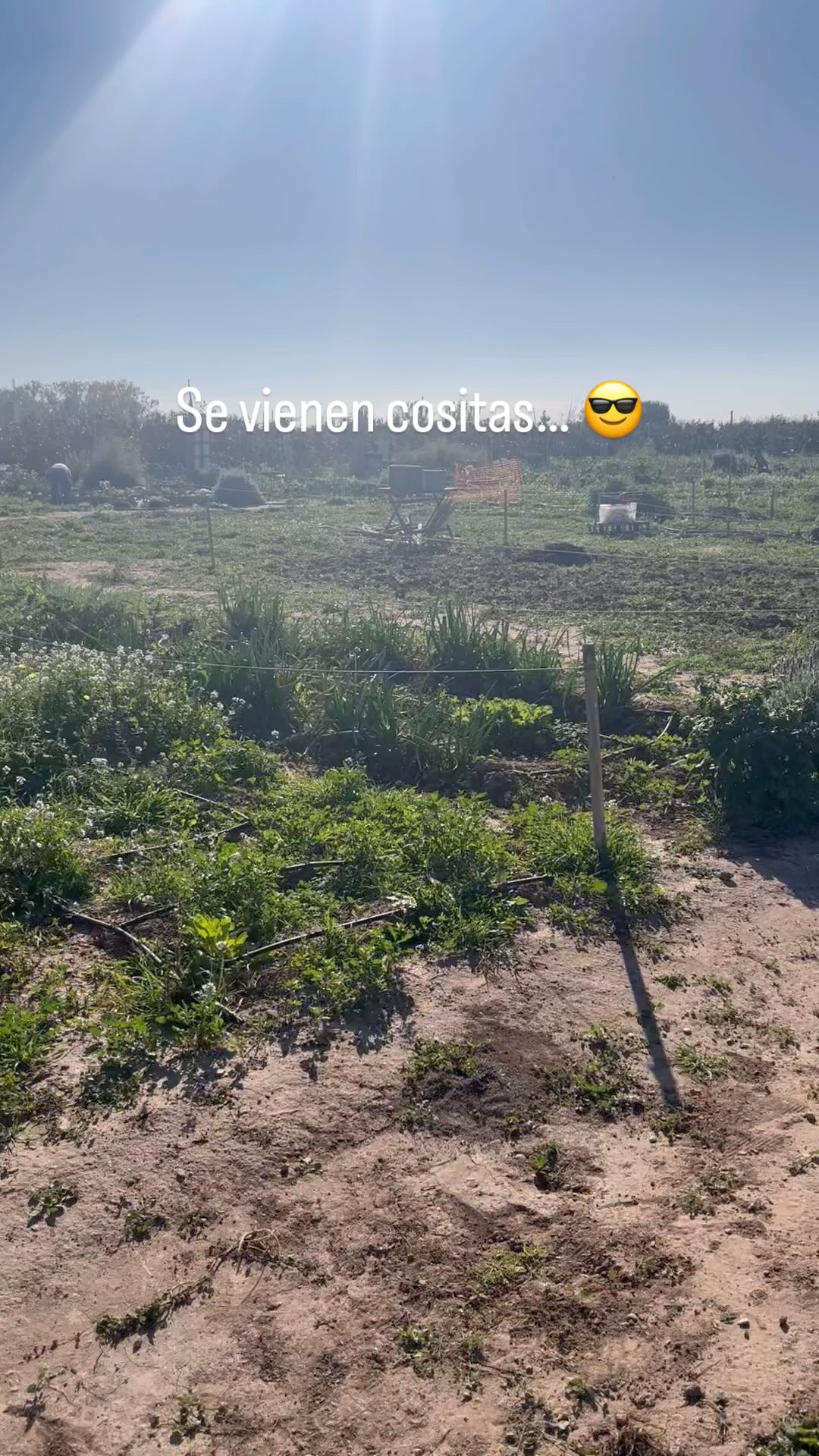 Una nueva parcelita que se alquila y nos emociona mucho el proyecto que viene a suceder ahí… ya les contaremos más!!
Aún no tienes tu parcela para cultivar tus propios alimentos agroecológicos?
No esperes más. Llama al 612 206 150 para más info. O visítanos en www.huertourbanocheterreta.com