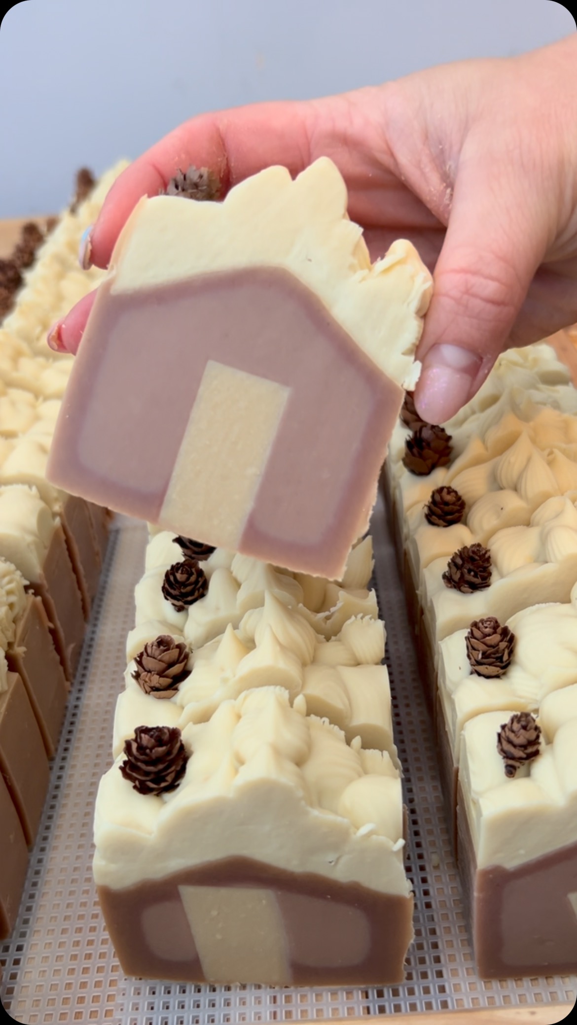 ✨ FESTIVE SPICE ✨
How can you resist the delicious sweet scents of vanilla & cinnamon!
.
.
#marshvalleysoap #goatsmilksoap #madeinyorkshire #madeinsheffield #allnaturalskincare #supportsmallbusiness #christmasgifts #christmasgiftideas #giftsforher #giftsforfriends #vanilla #cinnamon #secretsanta #handmadesoap #handmadeskincare