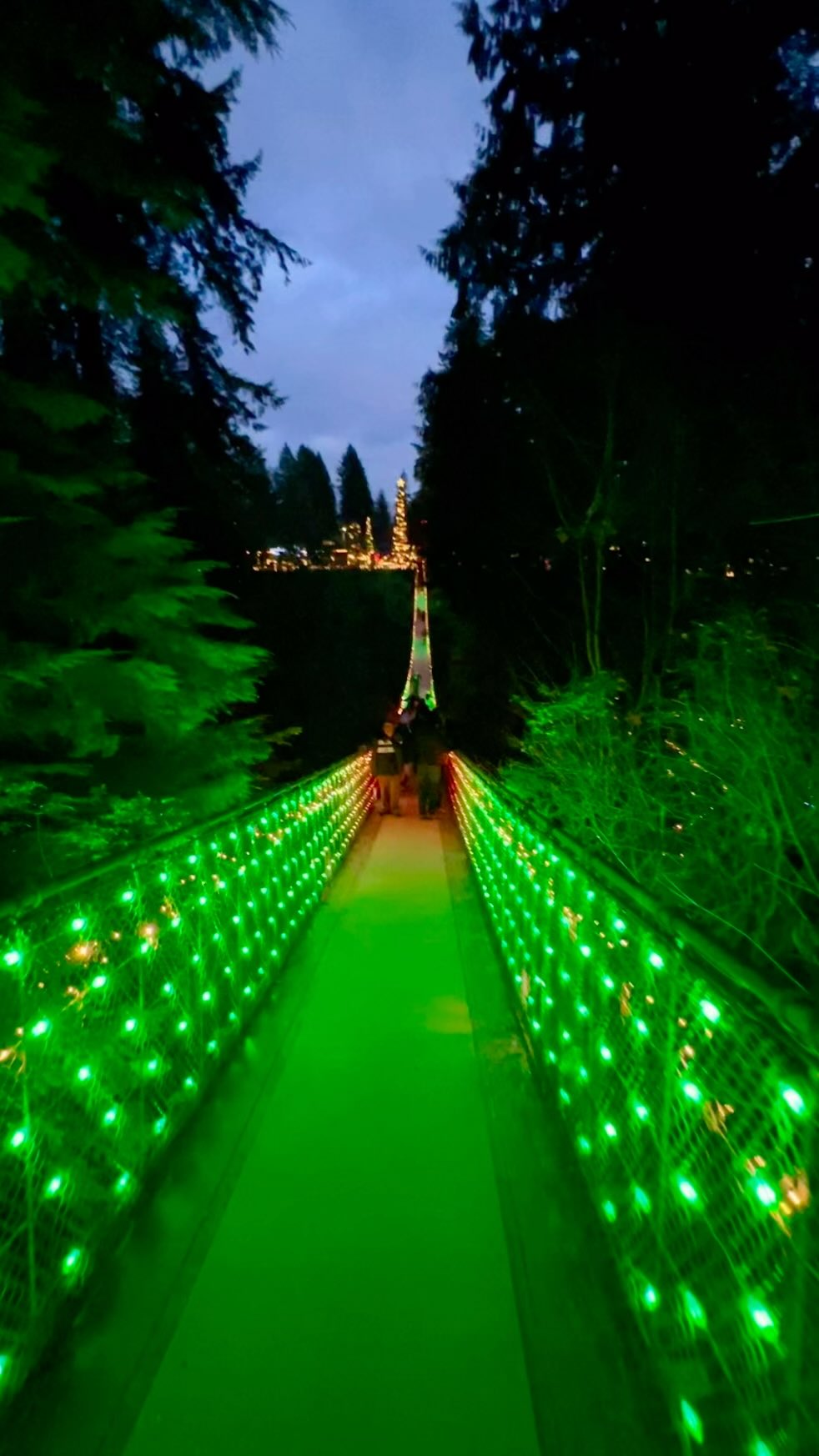 Curiosity is one of the best ways to illuminate yourself.
#lifecoach #illumination #spiritualgrowth #mindset #curiosity #canyonlights #capilanosuspensionbridge