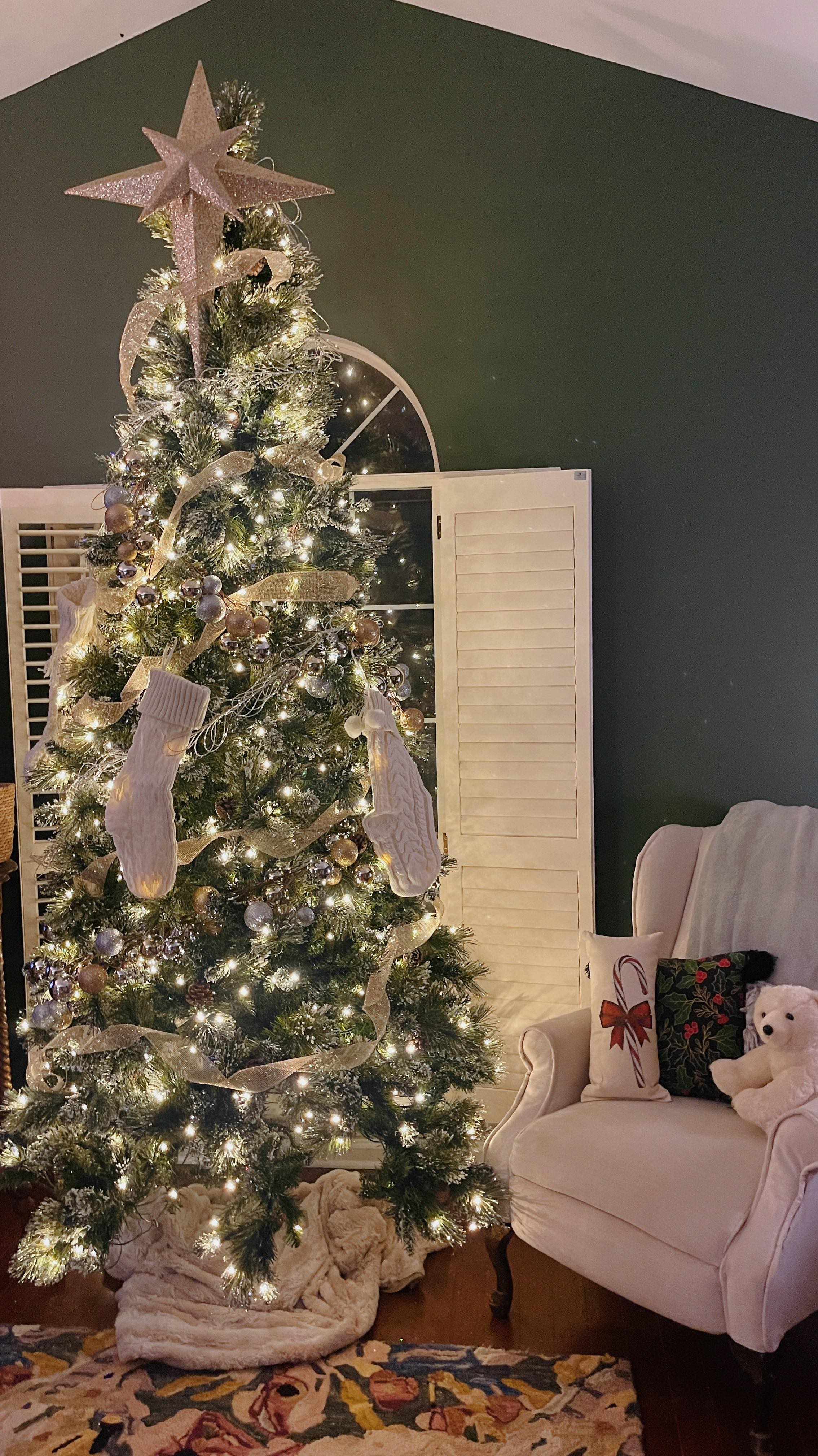 PSA: Lottie would like to interrupt your regularly scheduled programming for her Christmas Tree Lighting ceremony. Thank you and goodnight ✨✨✨
#christmaspup #seasonaldecorating #christmasmagic #christmastreelighting