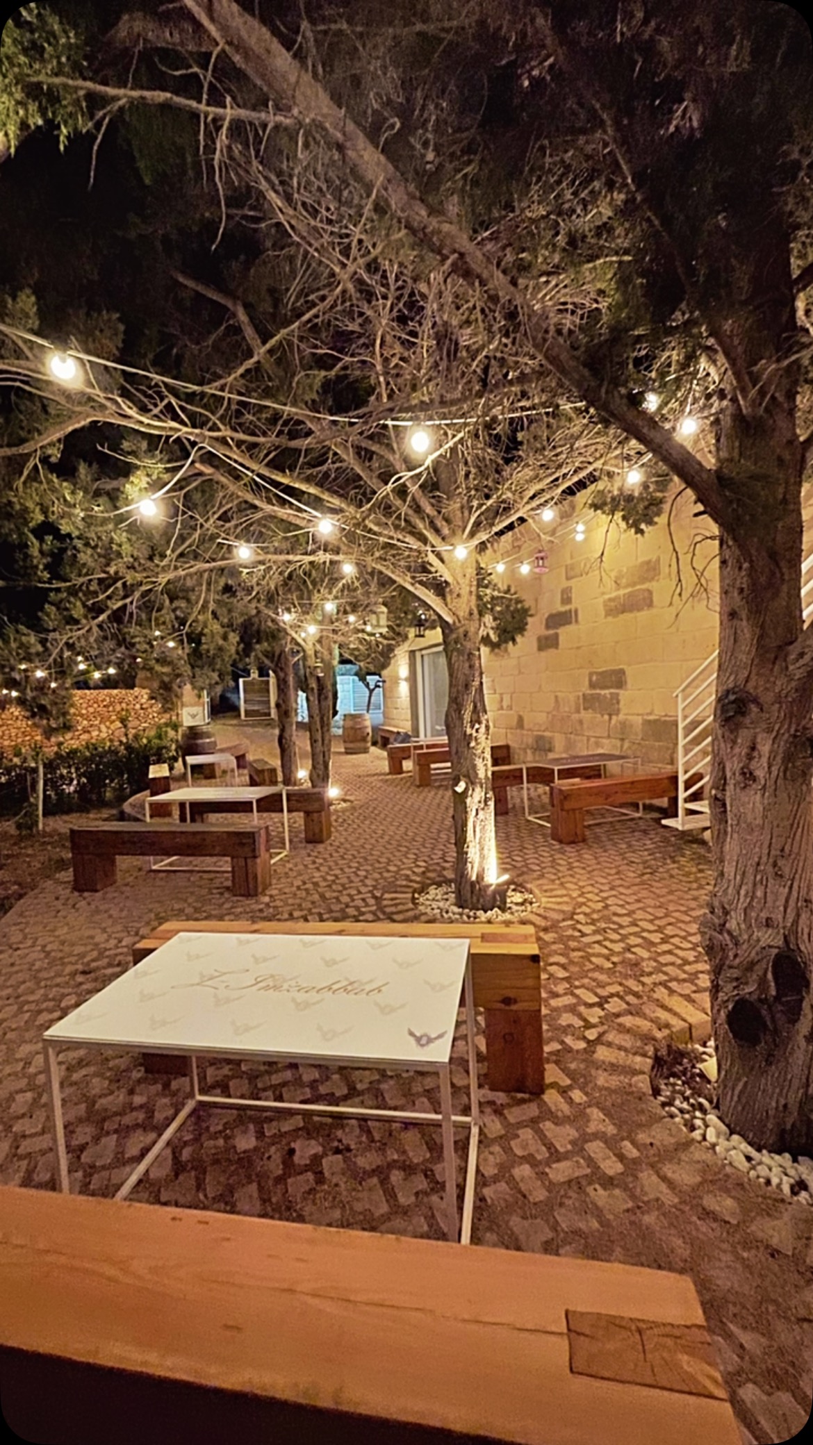 🎉✨ Celebrate this festive season with Markus Divinus! ✨🍷
Discover the stories in each and every bottle as you immerse yourself in the art of winemaking. Whether you’re planning a private event or a magical visit, let us make your holiday season unforgettable.
📧 Email us: experience@markusdivinus.com
📞 Call us: +356 99011778
Raise your glass to moments that matter. 🍇🍾 #MarkusDivinus #WineryExperience #FestiveSeason