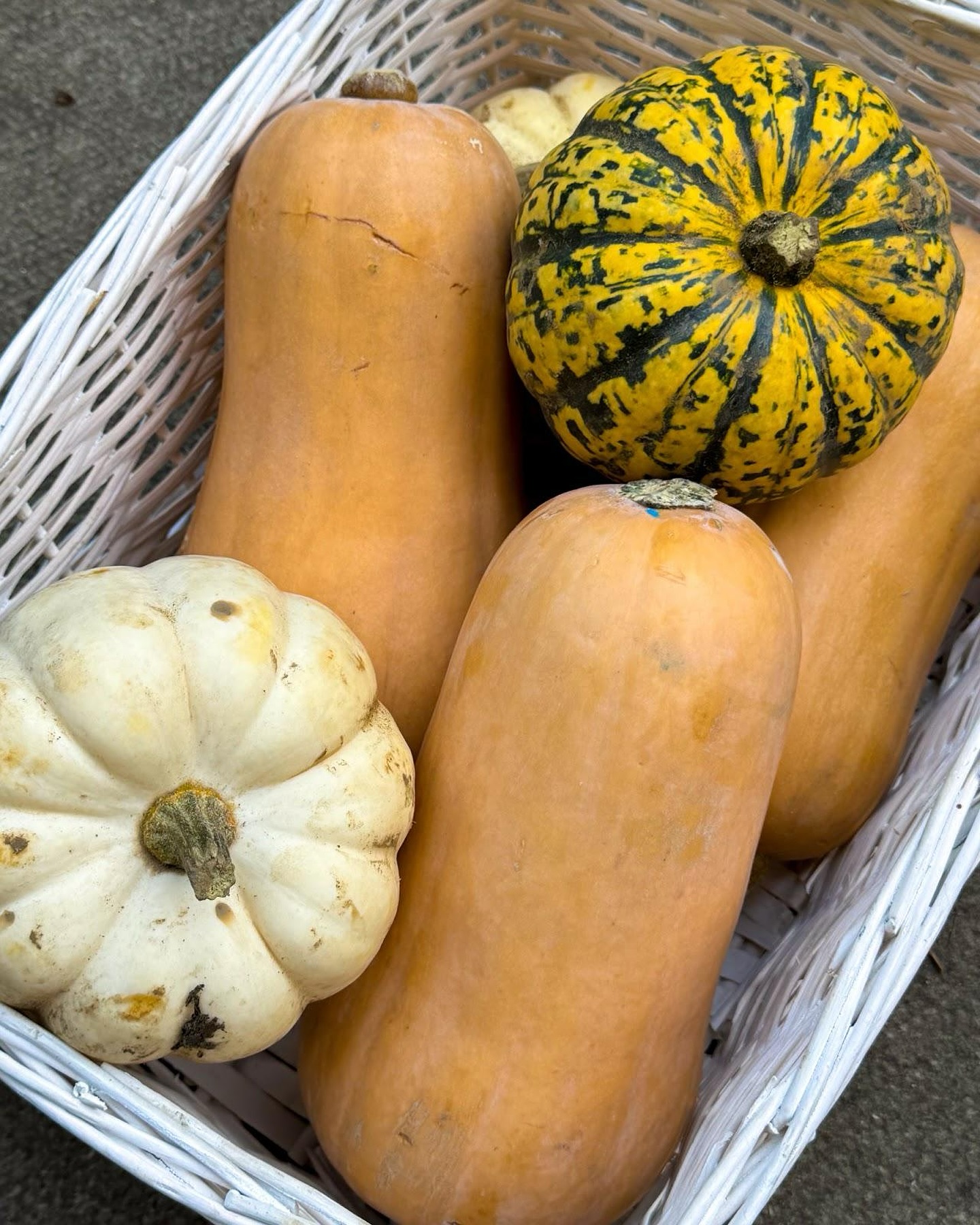A lovely variety of pumpkins and butternut squash from @thefelixproject & @cityharvestlondon this week. Part of our fight against food waste is collecting and stocking our shelves with seasonal produce. Stop by our shop this Saturday to pick some up!