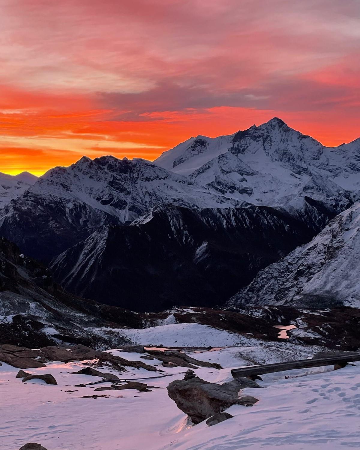 L’automne, ses contrastes, ses couleurs… 😍
Je me réjouis de vous retrouver raquettes aux pieds ☃️
#nature #swissalps #accompagnatriceenmontagne #asam #kulkatrek