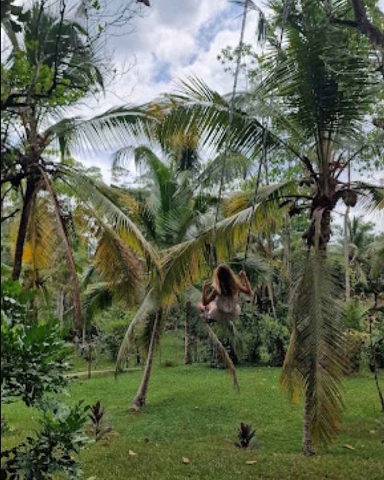 Embraced by the nature #serenity #embracedbynature #naturevibes #naturelovers #dindyourpeace #naturehealing #hotel #jungle #srilanka #southsrilanka #outdoor #pool #retreat #natureview #paradise #getaway #stay #escape #hotelinnature