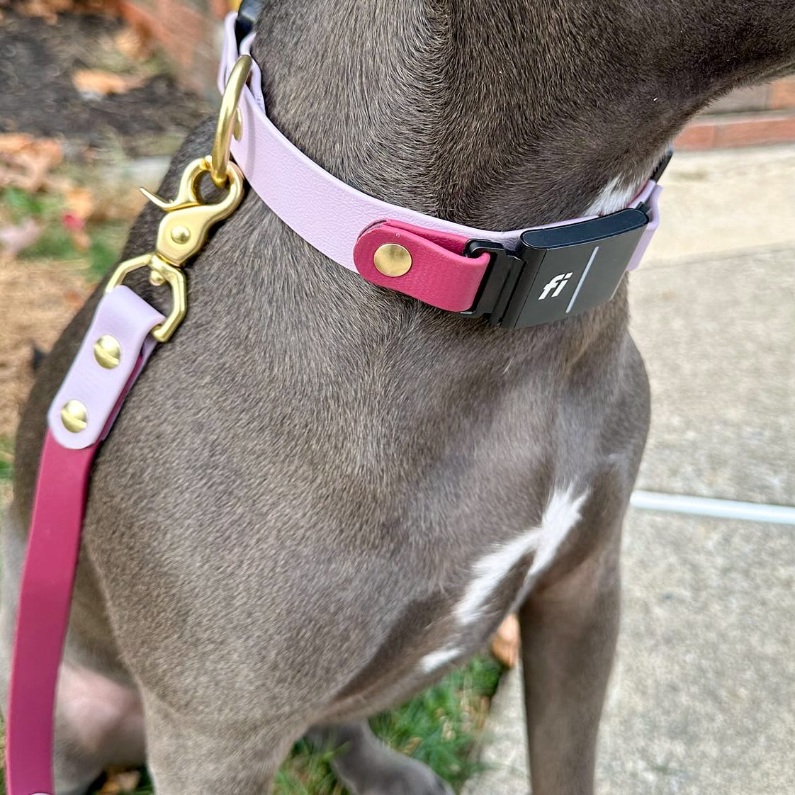 Happy Black Fi-Day!
Today only Fi add-ons are $15 ($5 off). Also, enjoy 15% off when using a model code for the rest of the weekend 💚