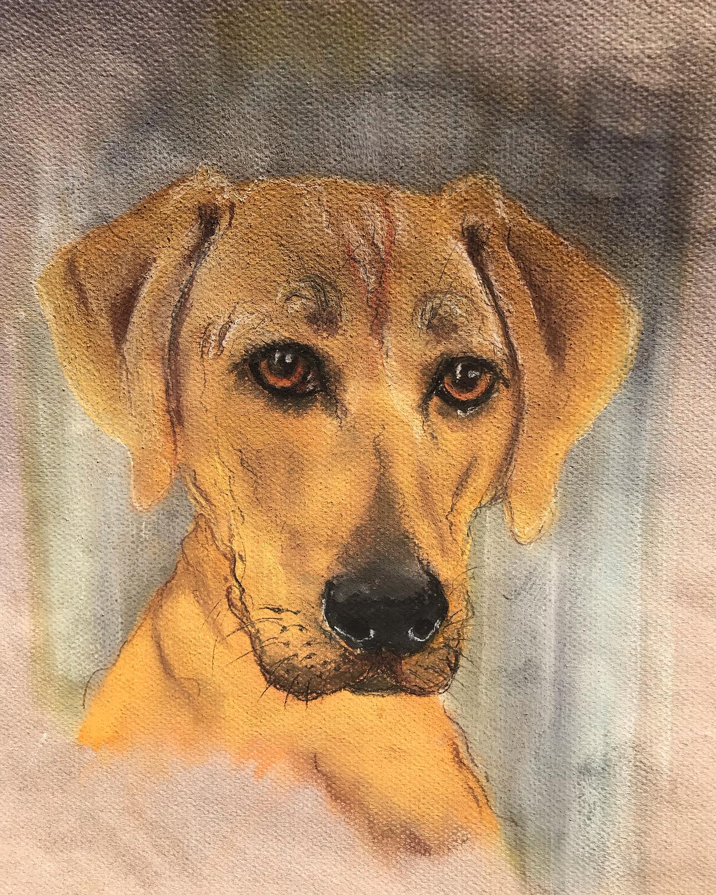 Just finished this pastel for a friends Christmas pressie…. Really enjoyed being the artist I used to be again 😃. If any of you want to commission a pressie for loved ones let me know. Love getting covered in pastels!!! 😍