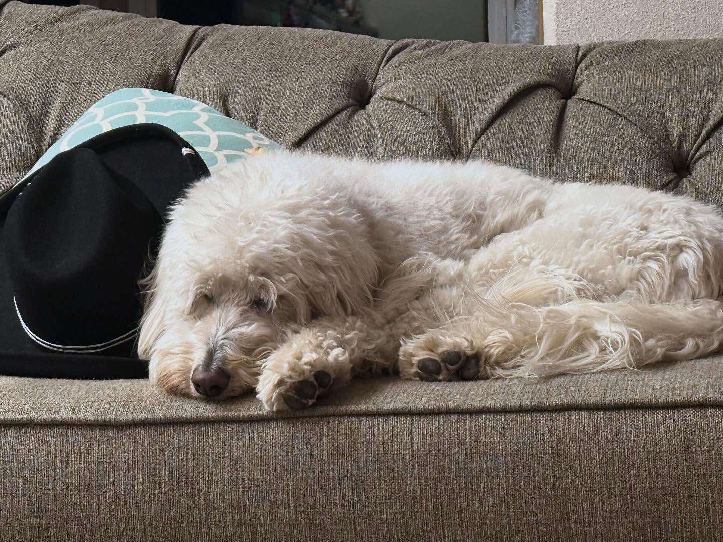 We wrote the book and now we rest. š¤ #nanowrimo2024