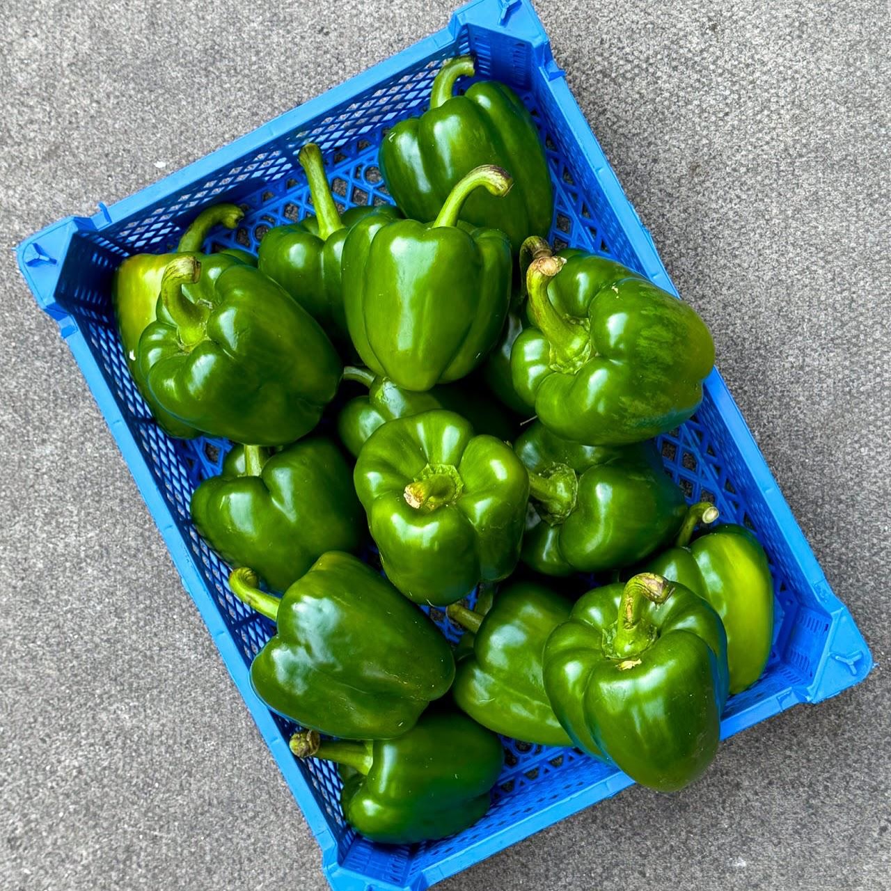We love the versatility of green peppers! Cut in half, stuff with rice and bake or simply slice and dunk into hummus for a quick and easy snack.
Link to the @bbcgoodfood Stuffed peppers with rice linked in our bio.