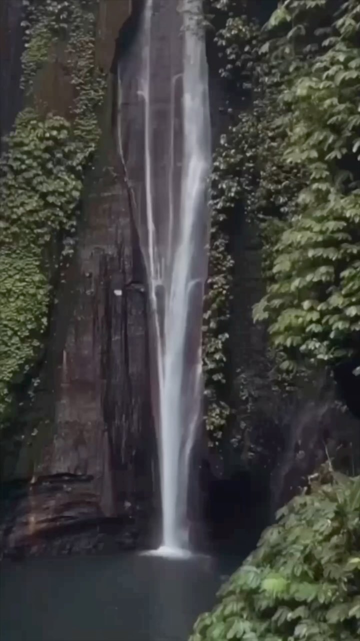 Dit geldt voor het doen van een ceremonie maar ook voor de meeste dingen in het leven..
Mensen vragen me vaak :
“𝙎𝙖𝙧𝙖 𝙞𝙨 𝙝𝙚𝙩 𝙝𝙖𝙣𝙙𝙞𝙜 𝙤𝙢 𝙝𝙚𝙩 𝙣𝙪 𝙩𝙚 𝙙𝙤𝙚𝙣?”
Eerlijk? Ik zou het niet beter kunnen weten dan jij.
Wat ik wél kan zeggen, is dit :
Het maakt niet uit of je het midden in alle chaos en drama doet, het zal je juist altijd geven wat nodig hebt in elke situatie. Niet meer of minder dan je aankunt.
Daarom zal ik het tot verbazing van velen, niet zo snel afraden.
Wat wél essentieel is, is dat je bereid bent om het aan te gaan. Wat ‘het’ ook voor jou mag betekenen.
Vertrouw op de de intelligentie van deze bezielde planten en vertrouw erop dat ze precies weten wat je nodig hebt en wat je aankunt.
Ook ik, na al mijn ervaringen, word nog regelmatig verrast door hun wijsheid. Ze overstijgen keer op keer ons menselijke begrip, bewustzijn en verwachtingen.
Dus helemaal niemand anders dan jij mag en kan die vraag beantwoorden. Vertrouw jezelf.
Saralouna