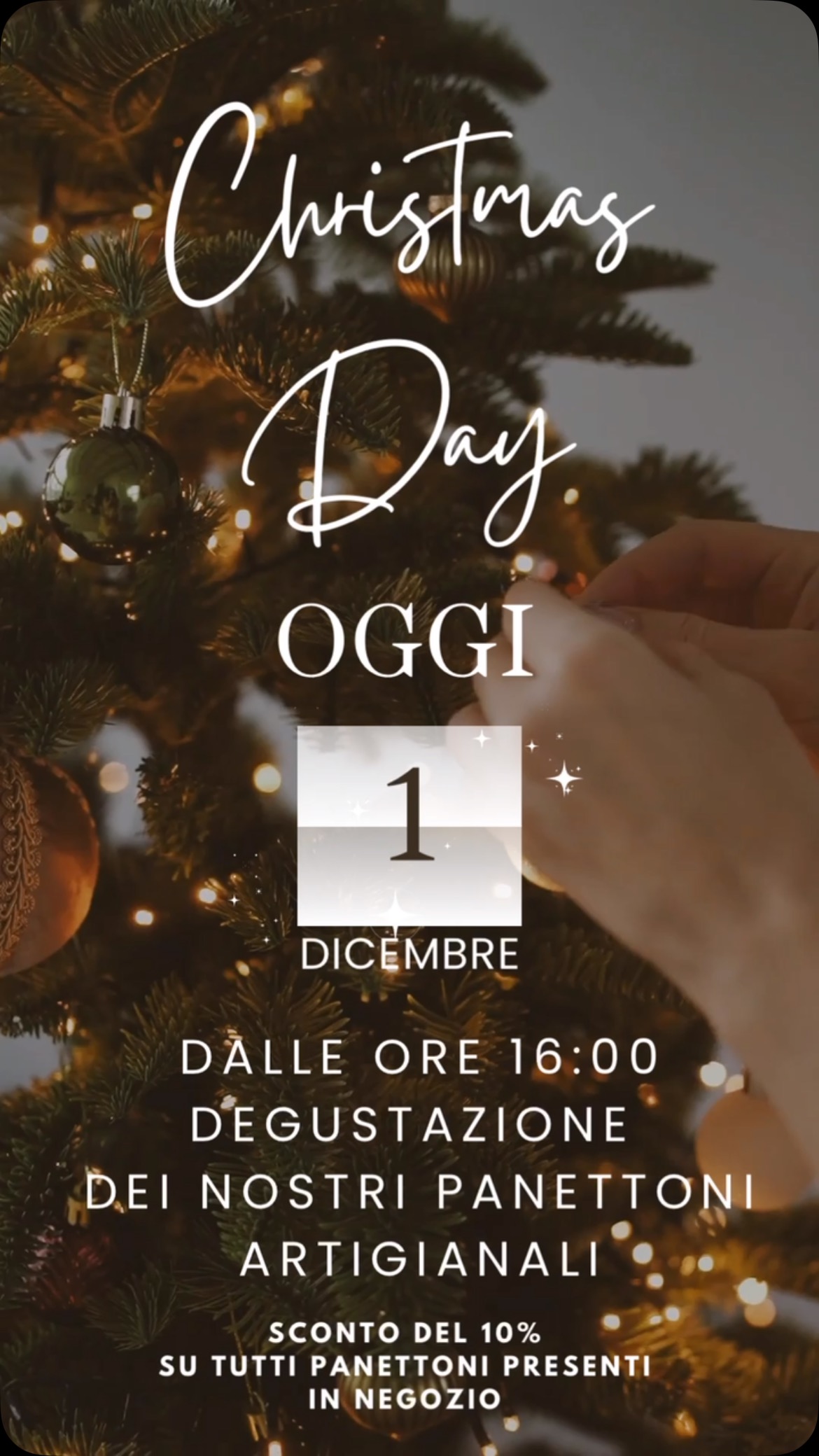 #panettoneartigianale #panettone #natale2024 #degustazione