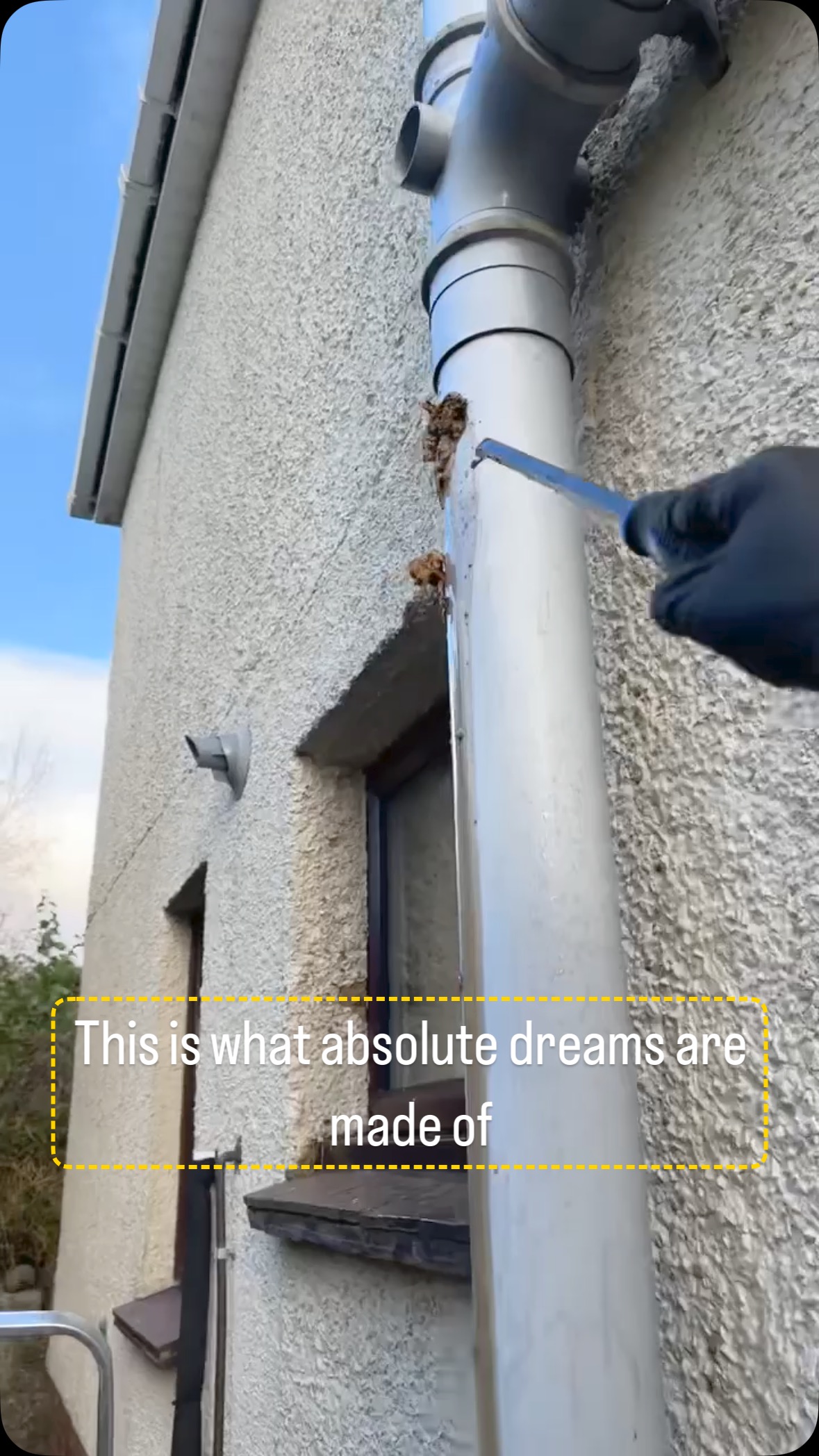 No words needed for this one 🥴