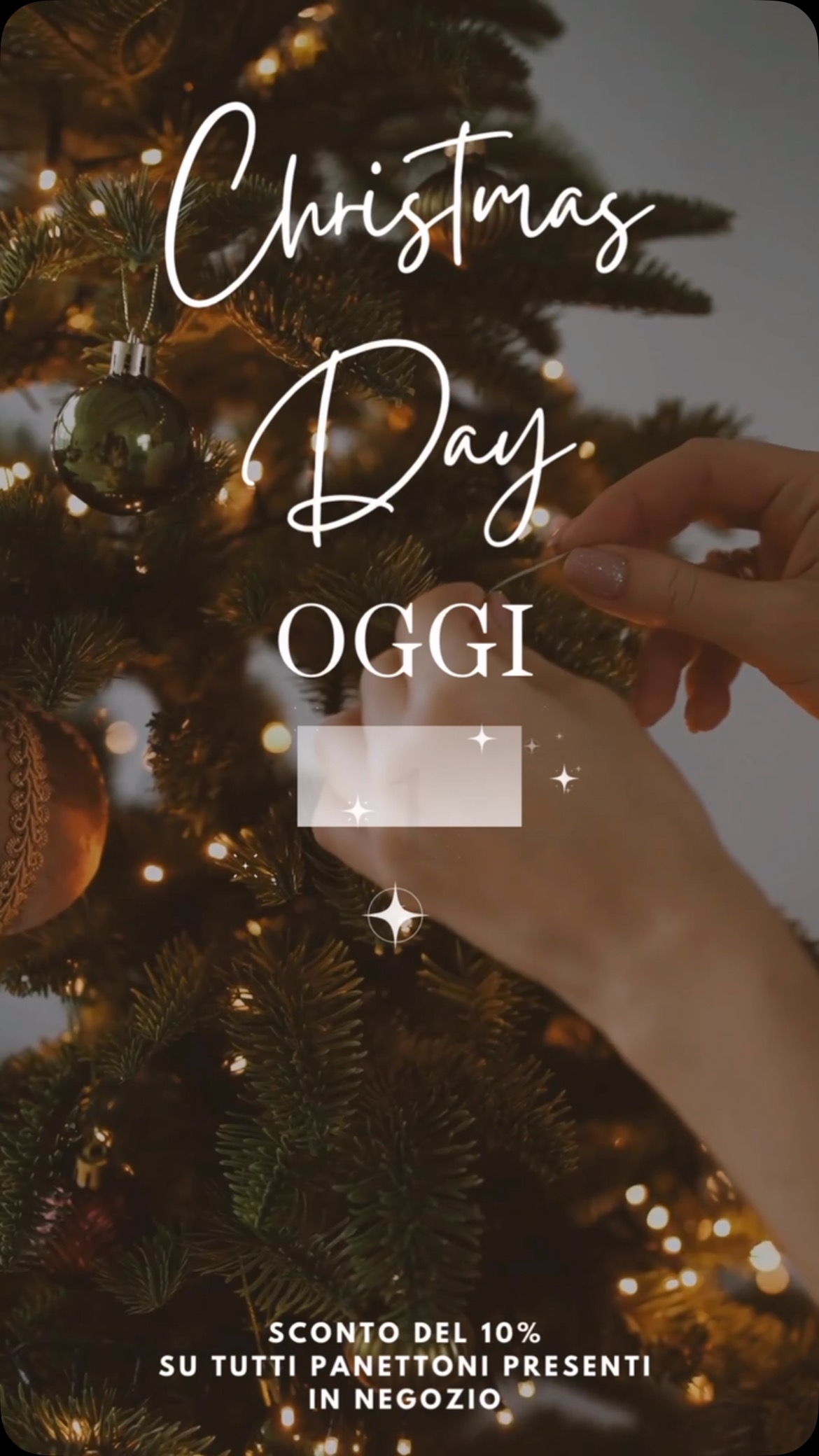 #panettoneartigianale #degustazione #natale #natale2024