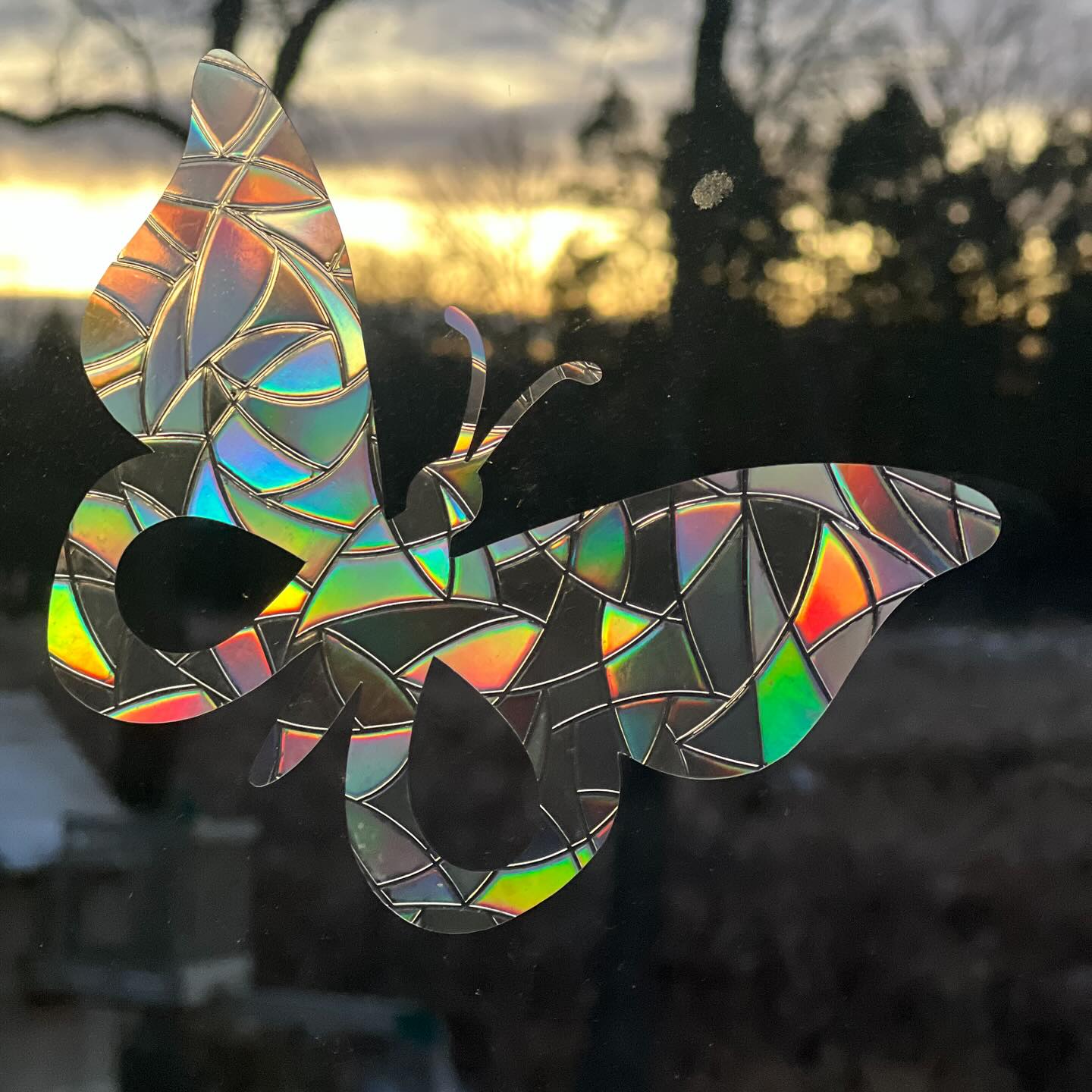 Perhaps the butterfly is proof that can go through a great deal of darkness and still become something beautiful. 🦋
#butterfly #butterflyeffect #butterflylove #changequotes #lifechanging