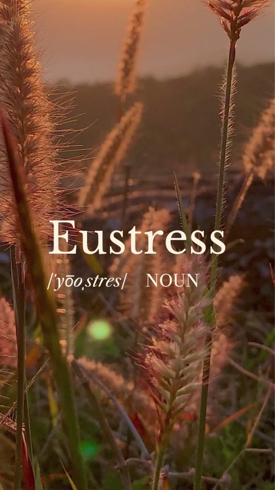 Not all challenges are bad!
Eustress, or "positive stress," is the kind that motivates us, boosts our performance, and enhances our emotional well-being.
Whether it’s landing a promotion, planning an exciting vacation, or working toward a big goal, these experiences can release feel-good endorphins that make us feel empowered and fulfilled.
Embrace the challenges that drive you forward—they're helping you grow! 🌱✨
What’s been your most exciting "eustress" moment recently? Share in the comments! ⬇️
#Motivation #Eustress #PositiveVibes #GrowthMindset