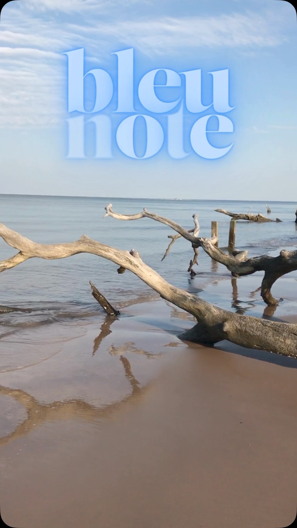 BLEU NOTE is this day in a bottle, with all its beauty and sadness.
#indieperfumery #nichperfume #artperfumery #scent #scent