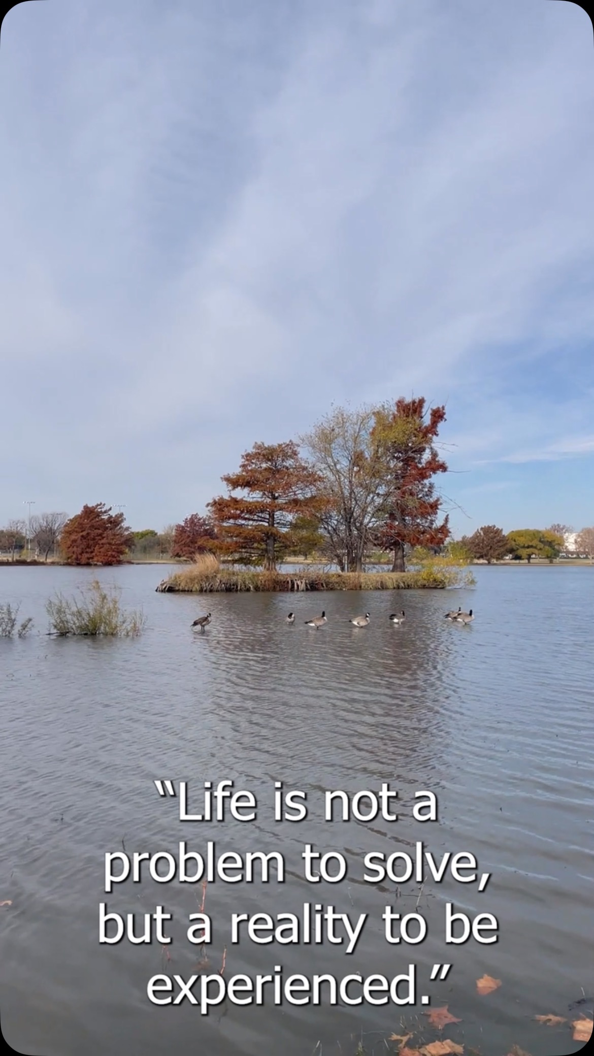 Today, Will shares a quote by Soren Kierkegaard about remembering to be present in your life! 📖🗣️ Cielo Systems is dedicated to fixing any and all of your network problems. Call today to find out more!
#cielosystems #motivationmonday #quote