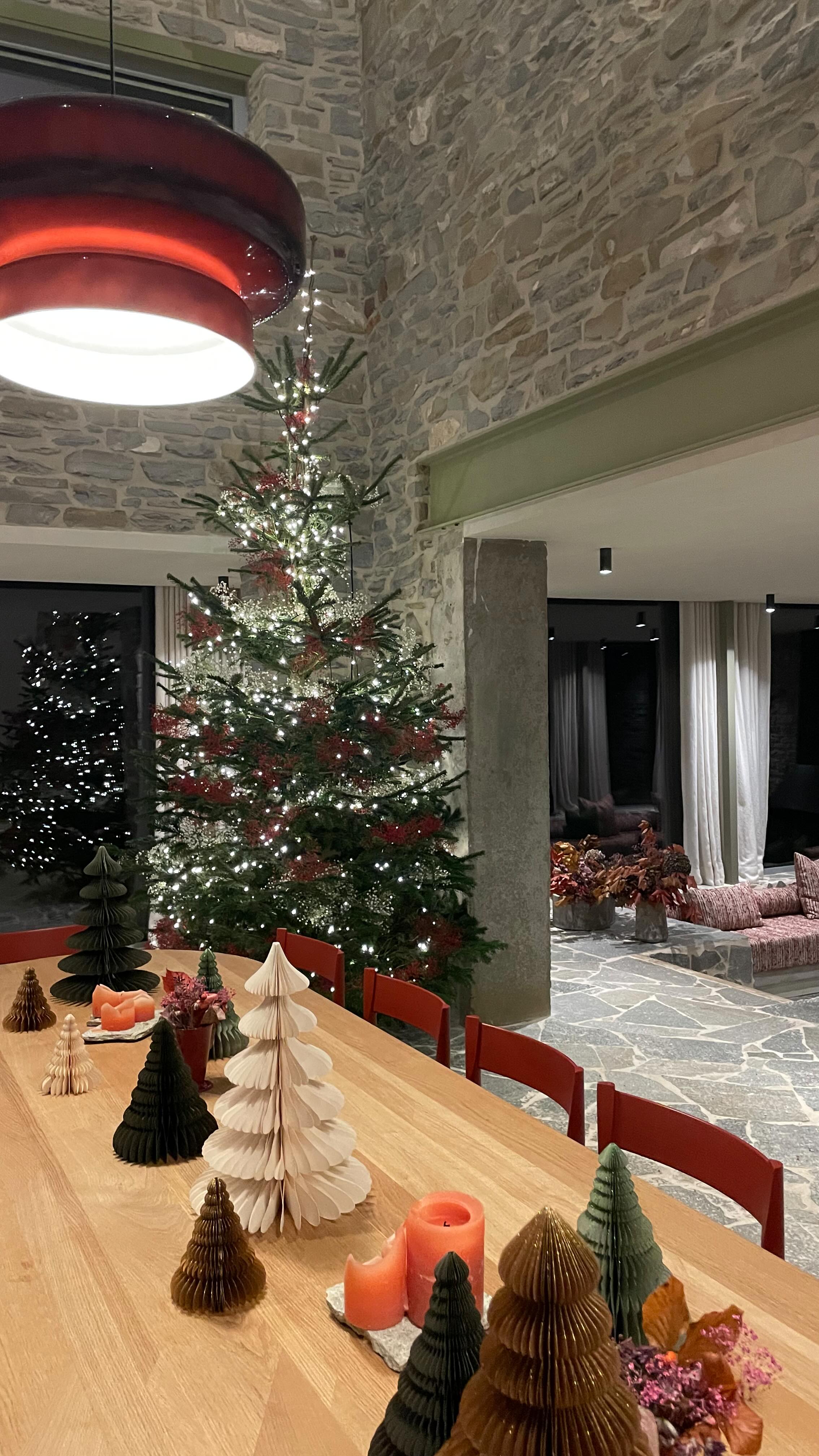 We are ready 🎄🧑🏻🎄🎅🏼
🌸 @blooms_by_emilie
🌲 @pierredaoust27
#maisonoscar #rochefort #visitardenne #xmas