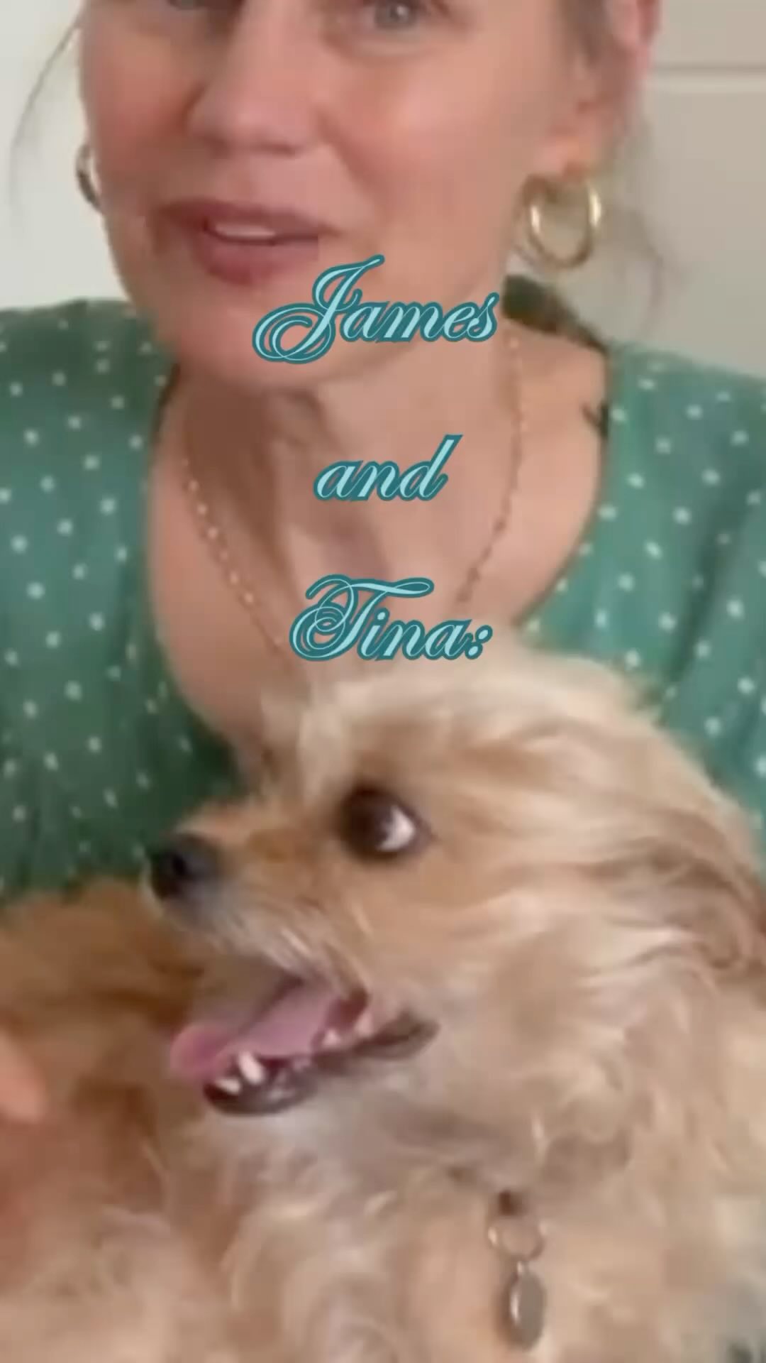 Meet Tina, James, and their adorable pup, Taffy!
When Taffy was wrongfully accused of biting a maintenance worker, Tina and James found themselves in a tough spot, struggling to get the support they needed to address an unfair notice from their landlord. But once they reached out to us, we were able to step in, advocate for their rights, and work directly with management to resolve the issue.
Stories like Tina and James' remind us why we do what we do - helping families and their pets navigate housing challenges with confidence. This #GivingTuesday, we're asking for your support to continue fighting for tenants like them. Every donation makes a difference in our ability to provide crucial assistance when it's needed most.
Help us keep fighting for equity - donate today š š¾