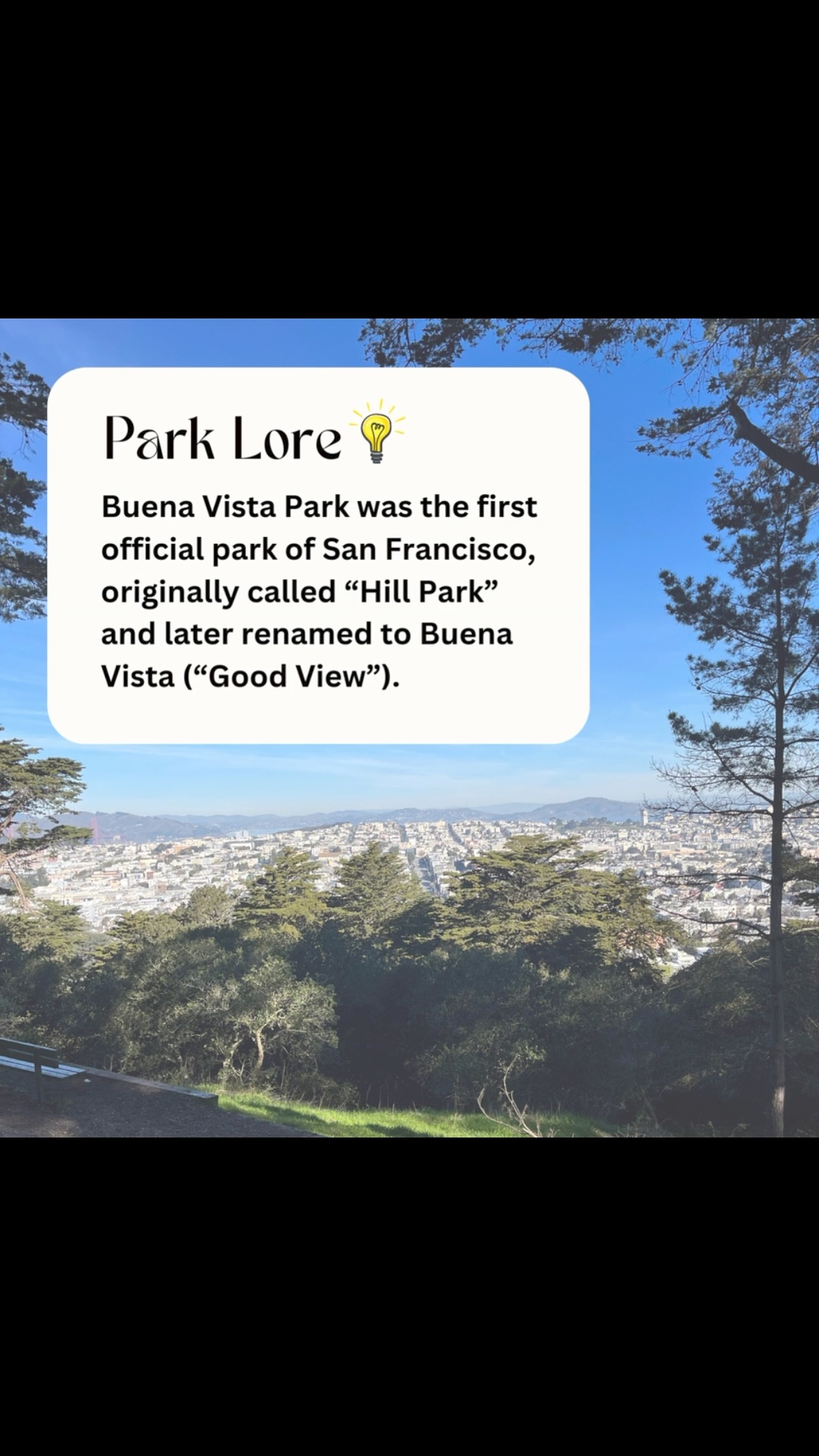 This one’s for our Buena Vistans 🥇
#buenavistapark #sfparks #parkhats #hatbrand #funfacts #parkfacts