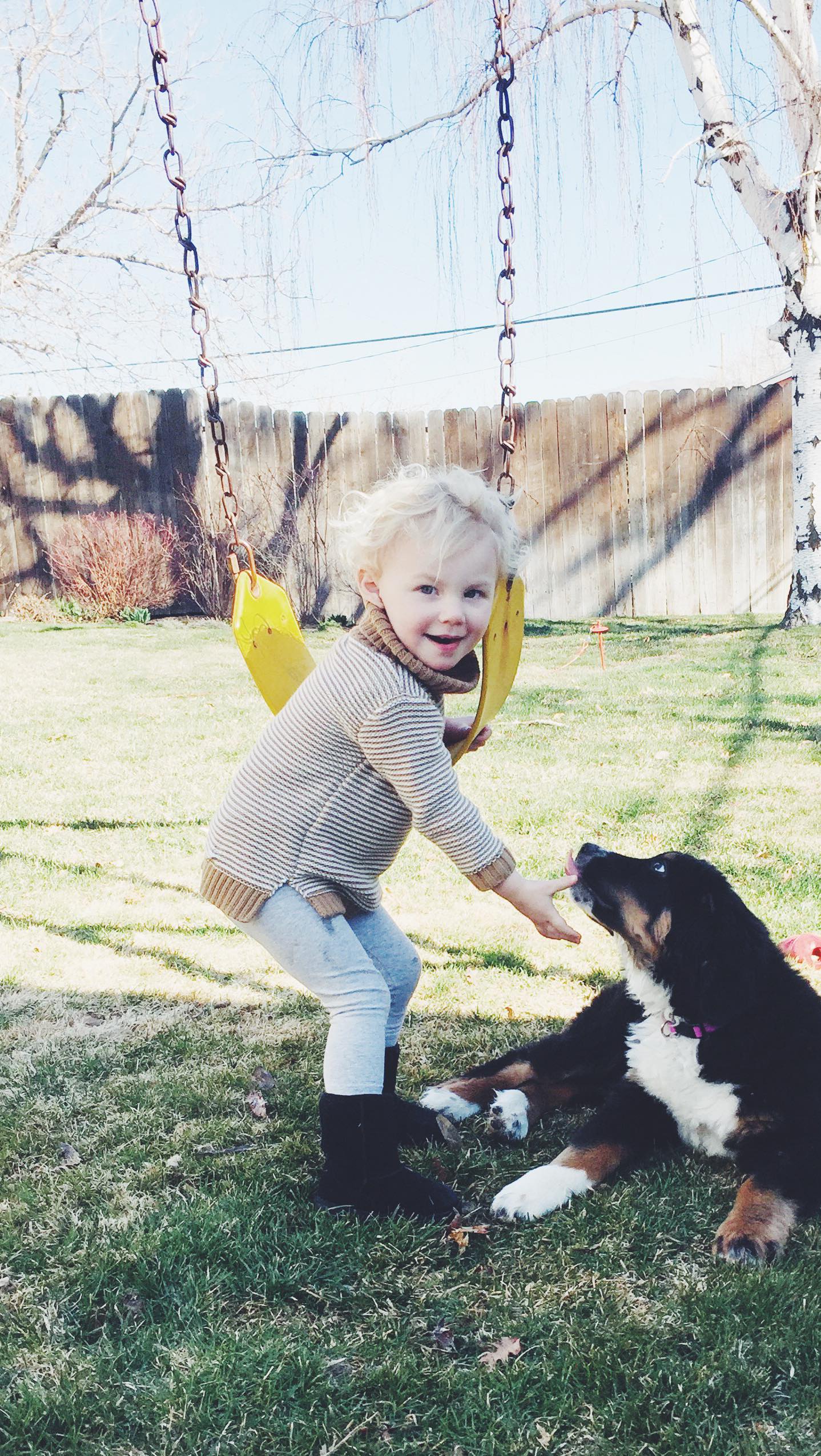 Losing Blue left an open wound for all of us. But seeing the kids look for the love she gave in every dog they meet has been magical, and keeps that love alive. Welcome to the family, Poplar.