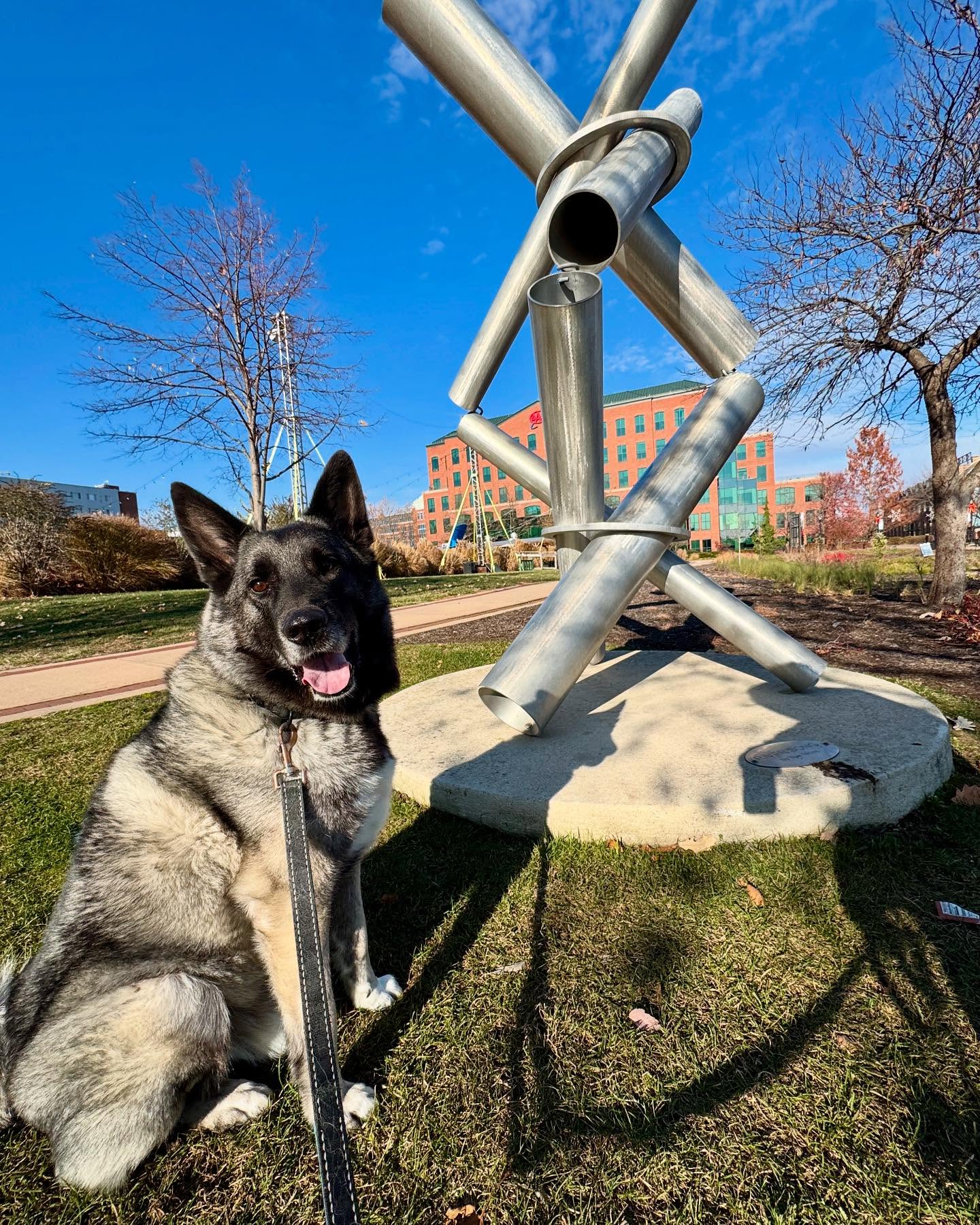Just one of our best boys, Magnus enjoying his walk by the riverfront!
#wilmington #wilmingtonriverfront #riverfront #magnus #bestboy #norweigianelkhound #dogwalker #delawaredogs