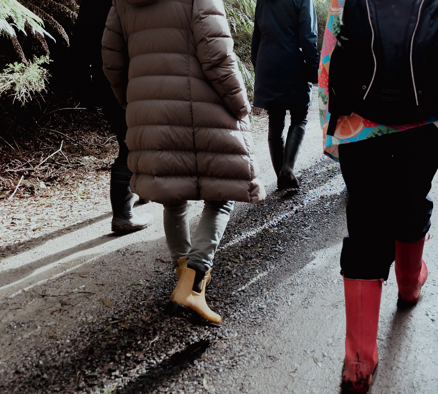 Prom Coast Ecolink is a community bound by a shared love for the natural world — a group of passionate individuals committed to protecting South Gippsland’s unique biodiversity for the future of our species and the countless species we share this land with.
The tireless efforts of our volunteers — whether in the field or behind the scenes — have a true and lasting impact. From immersive days spent in nature to the vital, unseen planning, organising, and brainstorming, every action you take builds towards a healthier, more vibrant ecosystem.
We are grateful for those who step forward with bold ideas, offer to host events, and simply show up with heart and energy. You inspire us every day, and we are so lucky to have you in our corner.
To every PCEL volunteer: we love you and couldn’t do this without you! Here’s to continuing to make a difference — together.
#InternationalVolunteerDay #ThankYouVolunteers #PromCoastEcolink #SouthGippsland #Biodiversity #CommunityImpact #southgippslandshirecouncil #biolinks #wildlifecorridors #sustainablebusiness #ECOnomy #ECOlogy
