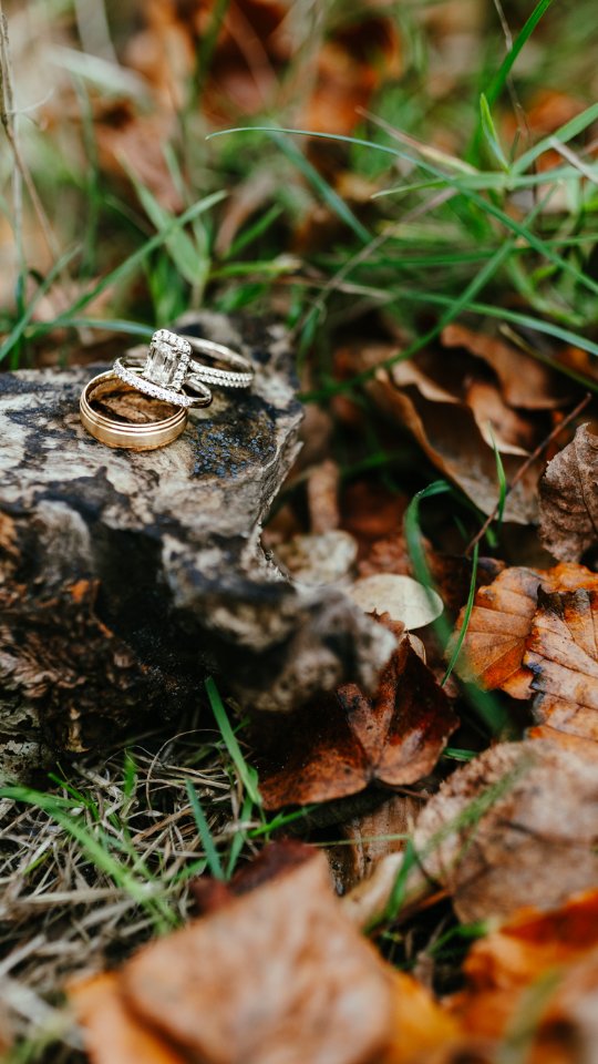 ❤️ MAGICAL AUTUMN WEDDING ❤️
🍂Denmark’s autumn charm was on full display during this stunning celebration of love! Surrounded by golden leaves and a serene lakeside backdrop, the bride and groom shared their vows in the heartwarming embrace of nature 🏞️
This breathtaking wedding was beautifully planned by Nordic Adventure Weddings, who ensured every detail reflected the couple’s unique love story.
📽️ I had the honor of capturing their precious moments in motion, creating a timeless video they’ll treasure forever ✨
📍 Location: Aldershvile Slotspavilion, 2880 Bagsværd
🎥 Photography & Videography: @elena_belevantseva
🌿 Planning & Coordination: @nordicadventureweddings
💄MUA: @copenhagenmakeupartist
Love stories like this remind me why I do what I do... Thank you to this incredible couple for letting me be part of your unforgettable day! 💛
▪︎
▪︎
▪︎
#aldershvilepavilion #denmarkweddings #nordicadventureweddings #autumnvibe #bryllupsvideo #danishweddingphotographer #weddingphotoandvideocopenhagen #weddingphotographercopenhagen #copenhagenelopement #свадебныйфотографвкопенгагене #copenhagenphotographer #photographercopenhagen #свадьбавкопенгагене #elopementphotographercopenhagen #elenabelevantseva #danishphotographer #danskebryllupsfotografer #copenhagenweddingphotographer #heiratendänemark #weddingvideocopenhagen #bryllupsvideo #bryllupsvideograf #danishvideographer