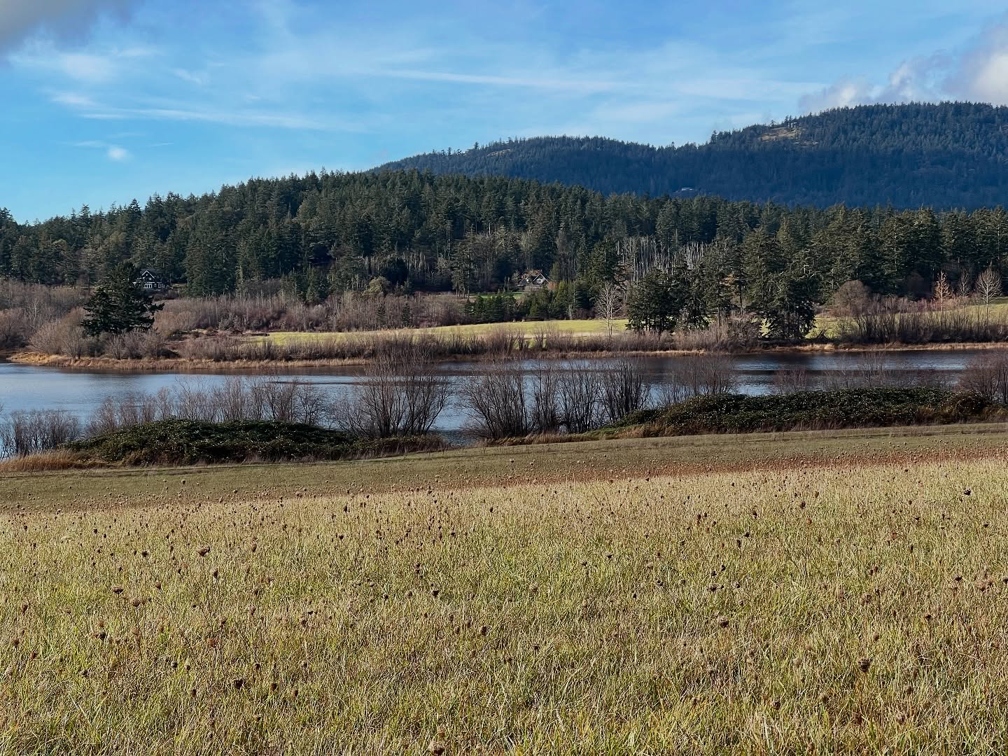 Exciting new project on the horizon! This will be a totally chill area#architecture #architecturaldesigner #customhomedesign #rural #lakeview #islandlife #sanjuanislandswa #permitservices