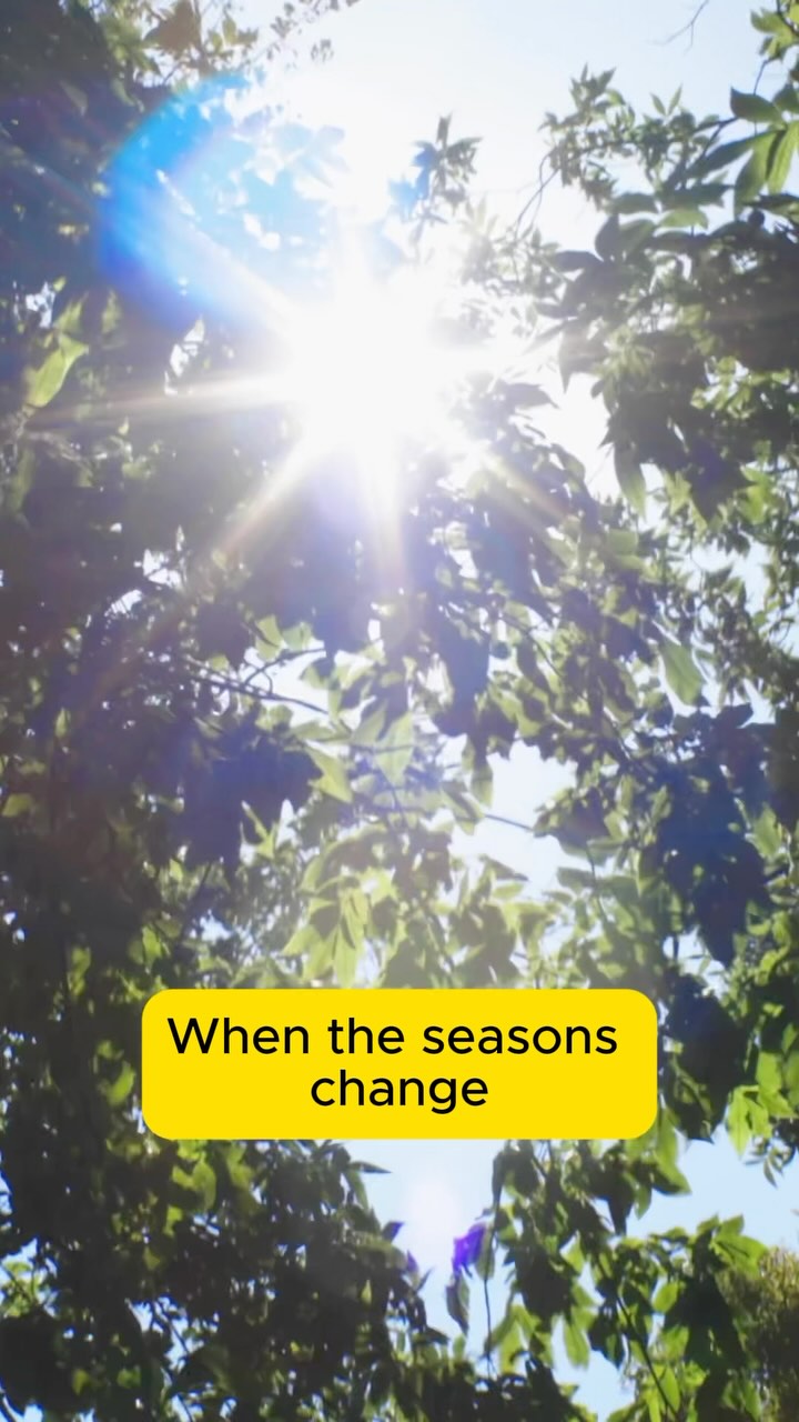 As the seasons change, your skin feels it too. ❄️☀️🍂
Ayurveda teaches us to adapt our skincare to nature’s rhythms, embracing what each season brings. 🌿
Stay in harmony with nature, and let your skin glow through every season with Ayur Botanics.
#SeasonalSkincare #AyurvedaWisdom #NatureInspired #AyurBotanicsGlow #HolisticSkincare