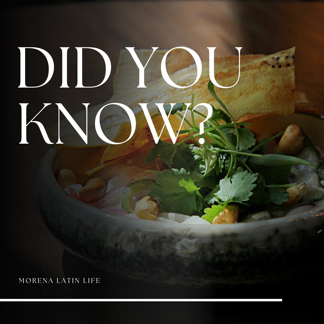 Do you know the story of the ceviche?
Starts when the CHASQUIS needed to go from the mountains to the sea, they were fishing and they needed to bring fresh fish to their people, but how?
How do you keep it fresh if you are so far away from home?
Now they needed to think a way to keep this fish fresh.🐟
What did they find?
The sea salt🌊🧂
So they were putting the fish in the salt and the fish was arriving without being rotten but now the fish was dry😐
After thinking and searching, they discovered an Argentinian citric that looked like a big orange🍊
Now they had something to hydrate the fish!
Now the fish was arriving to the families marinated in salt and this citric fruit juice, they were cutting it and some local elements like ají, chuño and some roots were added as well🌶️🥕🥔
That was placed in a ceremonial bowl and the INCA was taking care of it.
The word that they were using for that mix of goods in that bowl was “cici”, in QUECHUA
That’s how the story of the Peruvian ceviche started and now we have it in Morena’s kitchen for you!