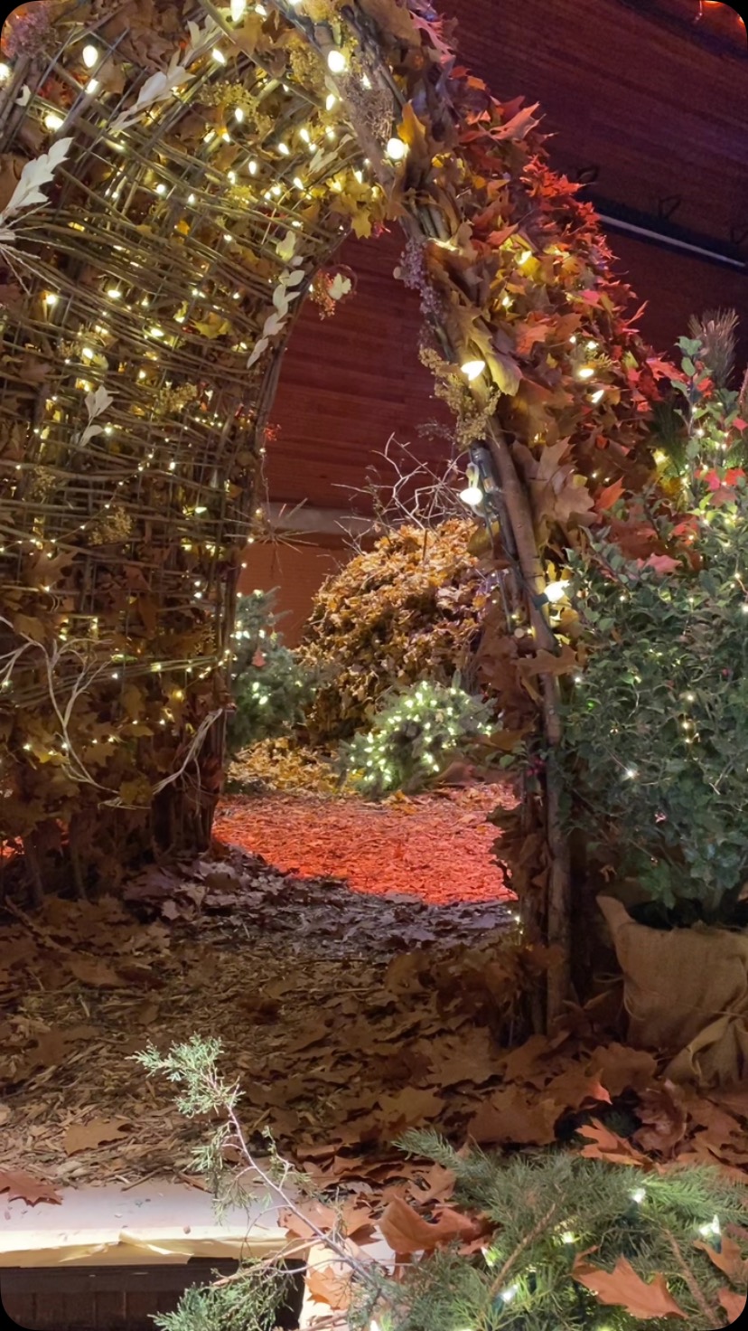 My favorite magical fairy forest @colorado_chautauqua . Come busy this weekend at Winterfest. #colorado #fairyforest #boulder #holidays #magical
