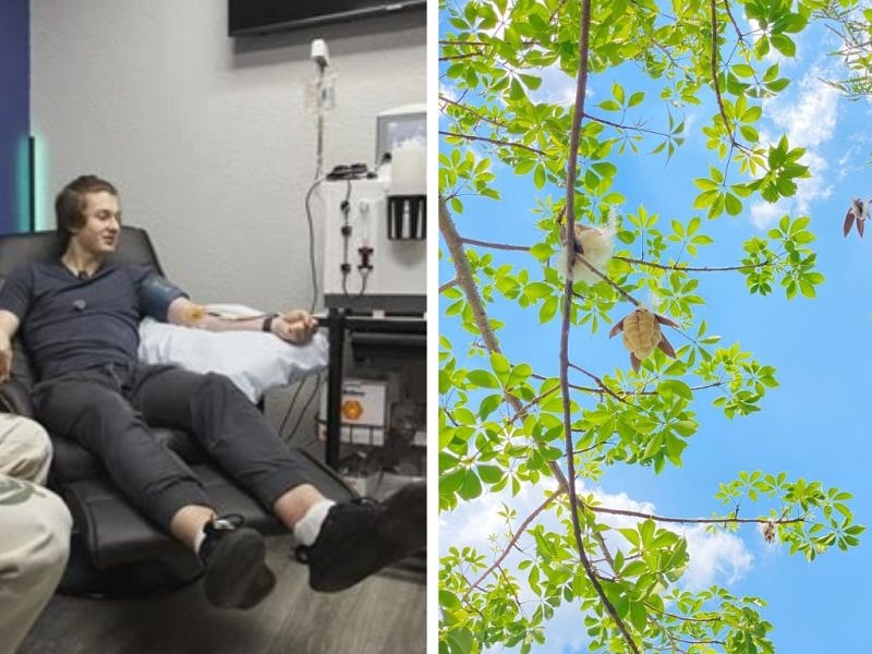 Bryan Johnson Meets India
Two paths to longevity: The factory and the forest.
The factory way is to pump ourselves with supplements, nutraceuticals, figure out the recipe for ideal bodily fluids and have a team of experts run them or soon an AI.
The next step in the story would be some nano-robots which will clean up our arterial clogs and stimulate our brain cells. It’s a story of controlling nature, as Charles Eisenstein calls it.
The second way is the way of the forest:
A forest really depends on its soil, water, and sun. The DNA for the fruits is already there; what is required is to support a nurturing soil and interconnection of species to make the forest thrive well.
Plus, the forest depends on creating a nurturing community for ‘others’ to thrive.
Our body has immense potential to detox, repair, and rejuvenate itself. If we can reproduce another human being, we can surely repair some of our own body. For eg: Fasting — itself is a great longevity booster.
Bryan seems to be promoting the factory way with his blueprint, though I might be wrong.
In longevity circles, the visit is abuzz (article in comments).
India’s impact is always philosophical. Every time someone comes from the West to India, they undergo change and leave some new trends here.
I wonder what Bryan builds when he returns from India?
—
Join me, Madhur Anand - to walk together on path of seeking happiness and longevity in India.
hashtag#longevity hashtag#bryan hashtag#therapy