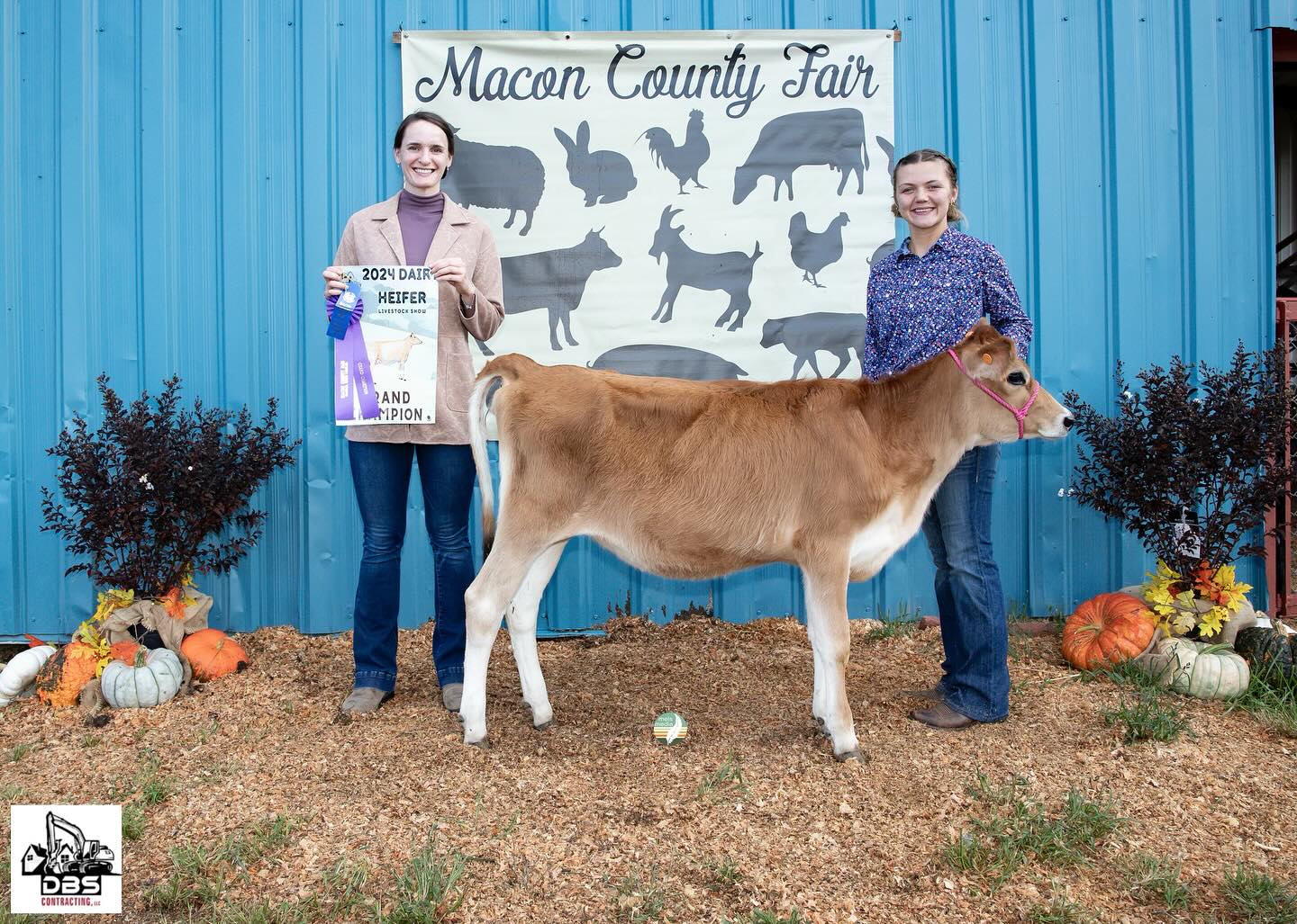 This fall McCalister was able to judge the Dairy Showmanship Class at the Macon County Fair in Franklin NC.🏅Like all of the Russell family members, McCalister is very familiar with the show ring. She enjoyed the opportunity to be on the other side of the halter and encourage these FFA members as they showcased the hard work they’ve put in with their dairy projects.👏🏼
•
#local4H #localffa #maconcofair #fall2024 #dairyshowmanship #jerseyheifers