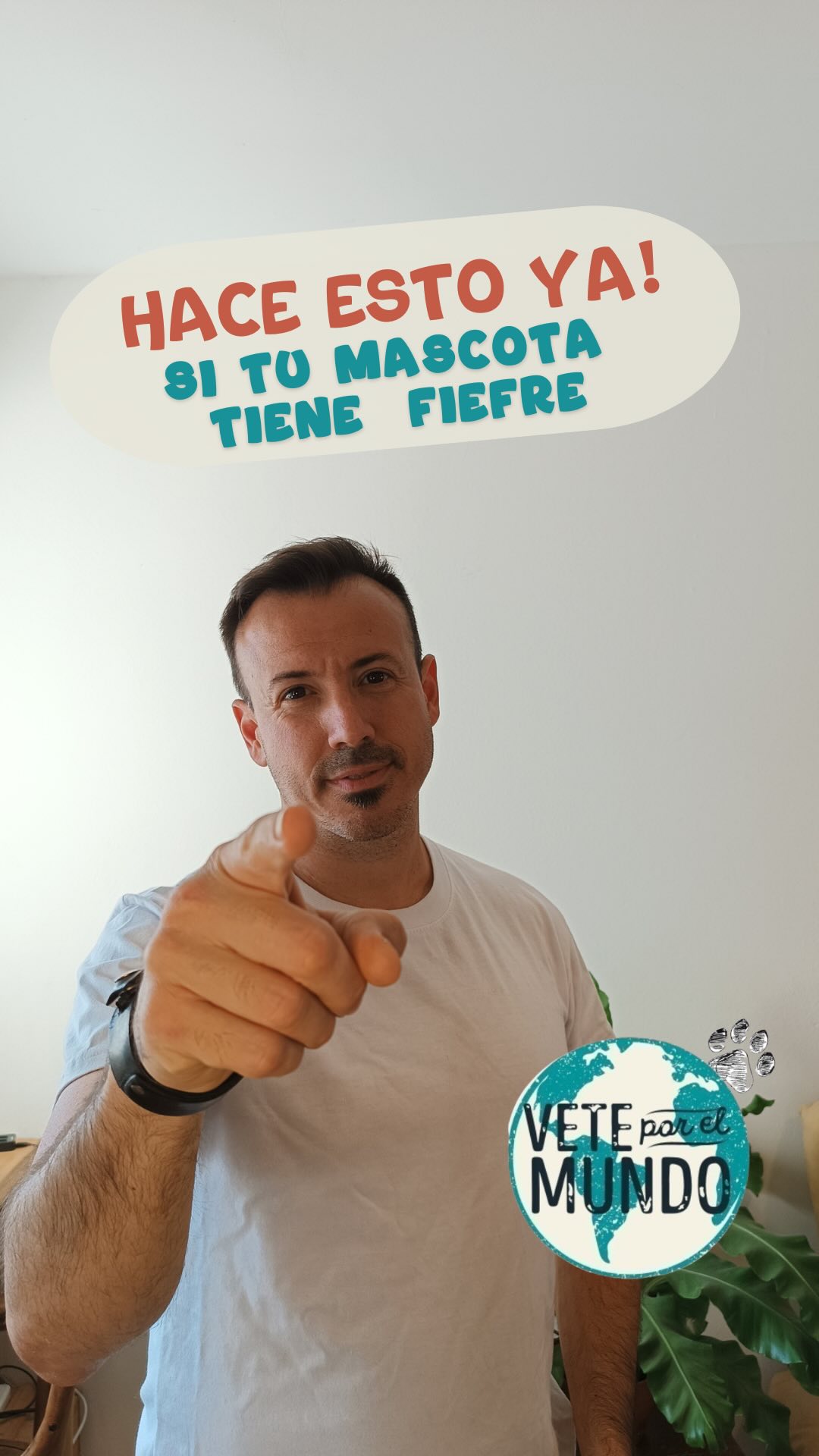 ¿Tu amiguito tiene fiebre y no sabés cómo ayudarlo? 🥺
😉En este video te cuento qué hacer para cuidarlo, bajarle la temperatura y mantenerlo tranquilo.
👉 Ah, y si todavía no aprendiste a tomarle la temperatura en casa, buscá en mi perfil el video donde te explico el paso a paso.✅ ¡Es súper fácil y te puede sacar de un apuro!🤒
#cuidandoamimascota #viajarconmascotas #veteporelmundo #viajesconperro #veterinario #veterinarioonline #fiebreenperros #temperatura