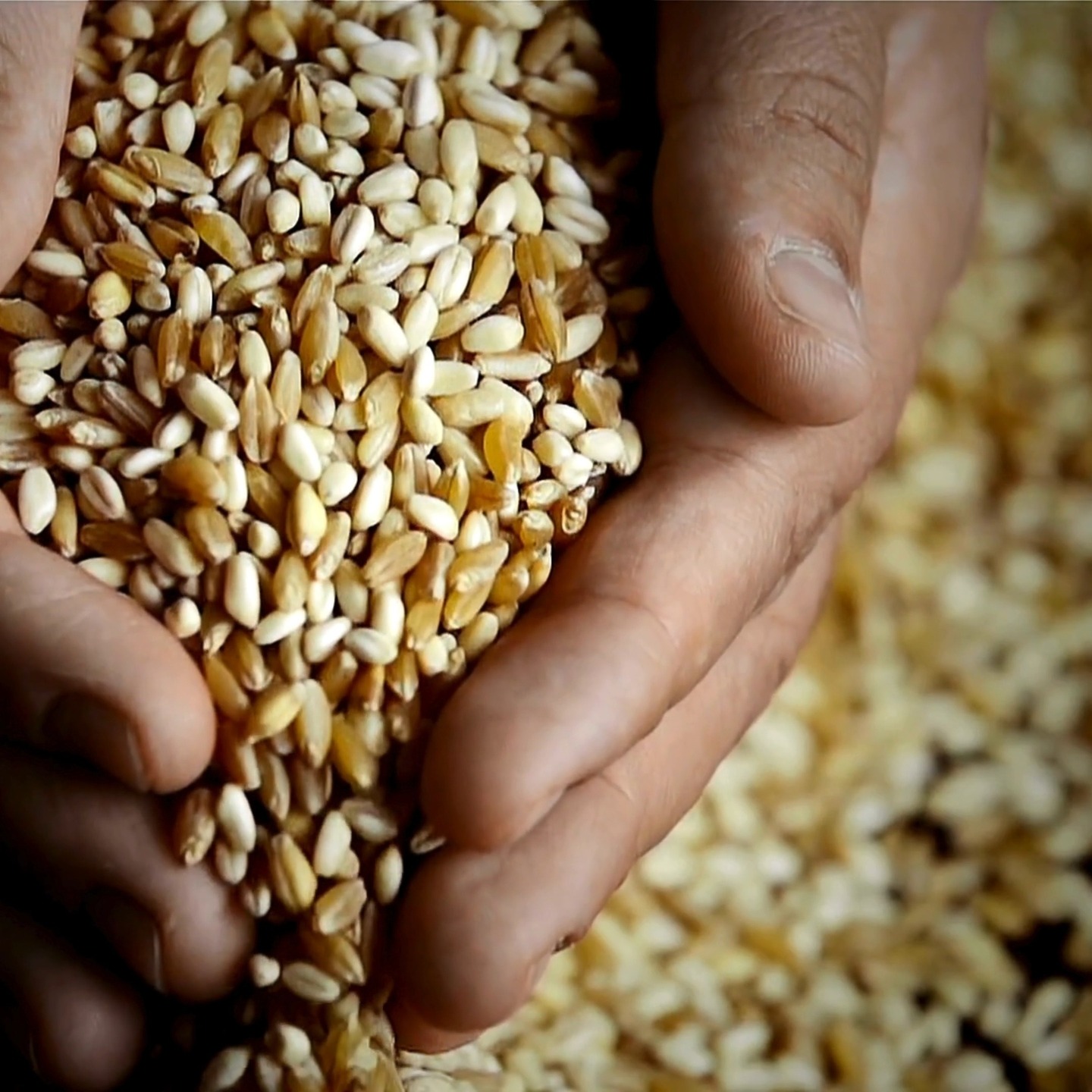 🌿 Unlock the power of healthy carbs with our nutritionist in Gulshan, Dhaka! 💪 Fuel your body with the right nutrition to feel your best. Ready to make a positive change? Book your consultation now at https://wix.to/nfFvHTT #HealthyEating #Nutritionist #GulshanDhaka
Check out my blog post https://wix.to/A94vREb
#newblogpost